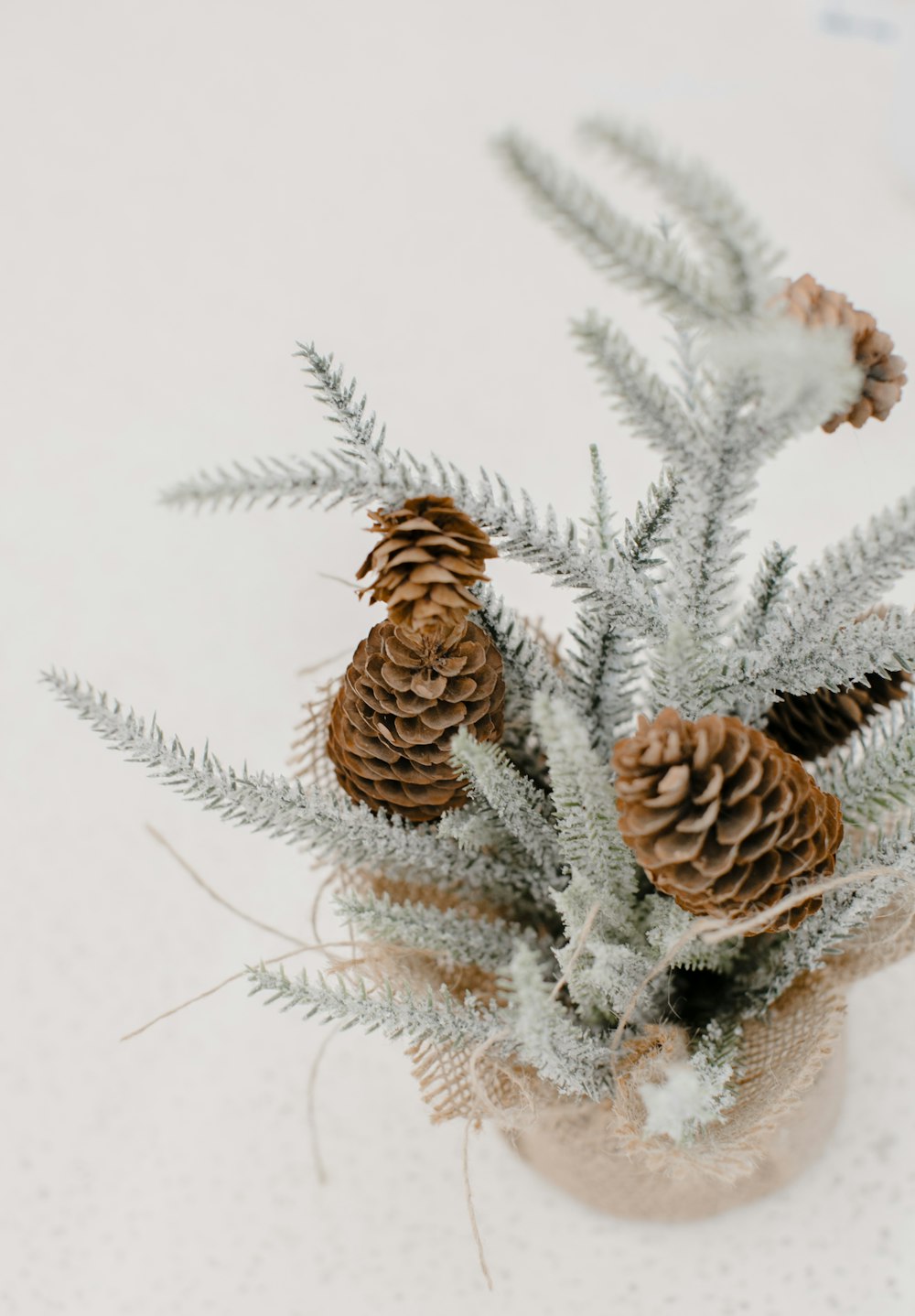 a small vase filled with pine cones on top of a table