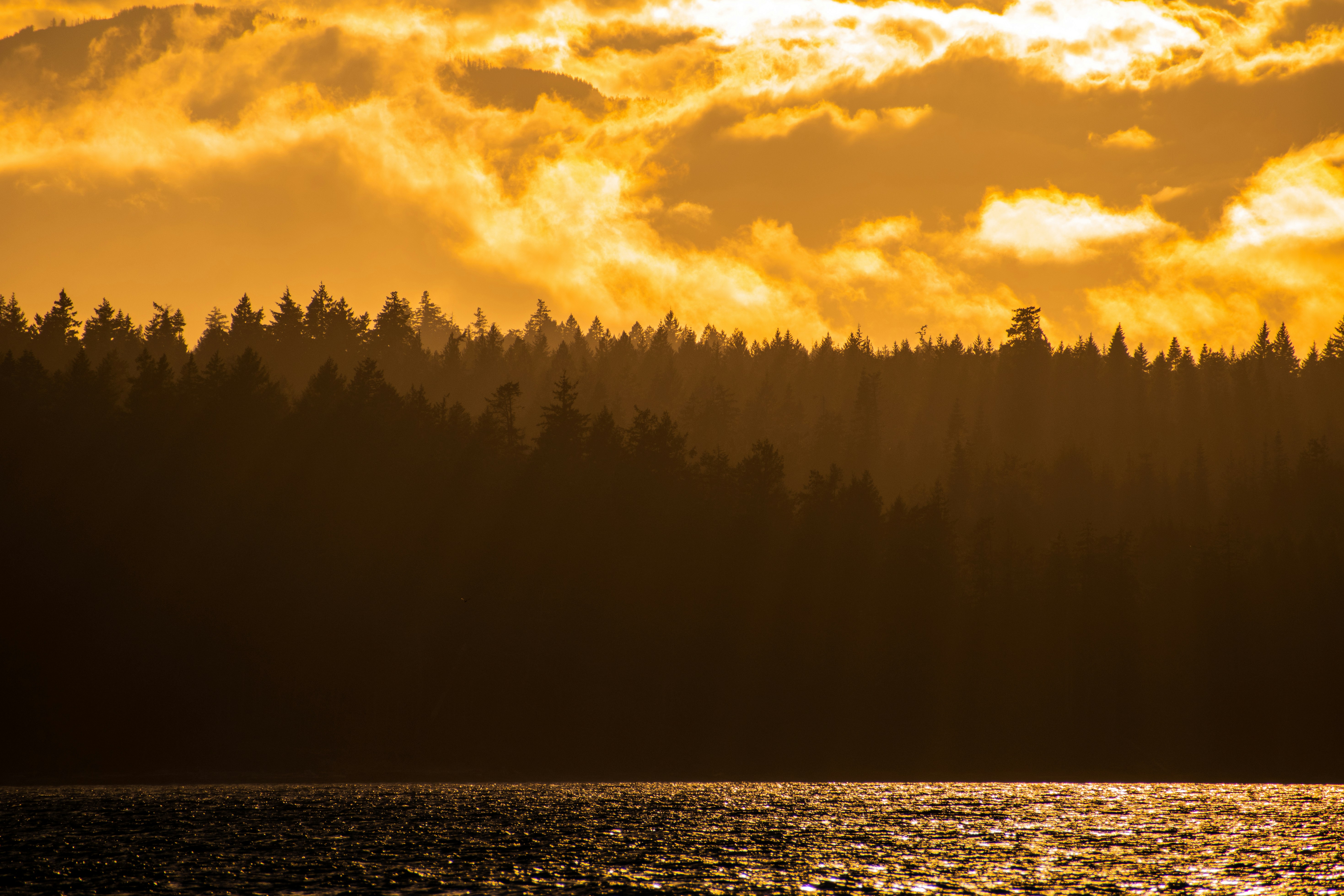 Photo by micahmphotography