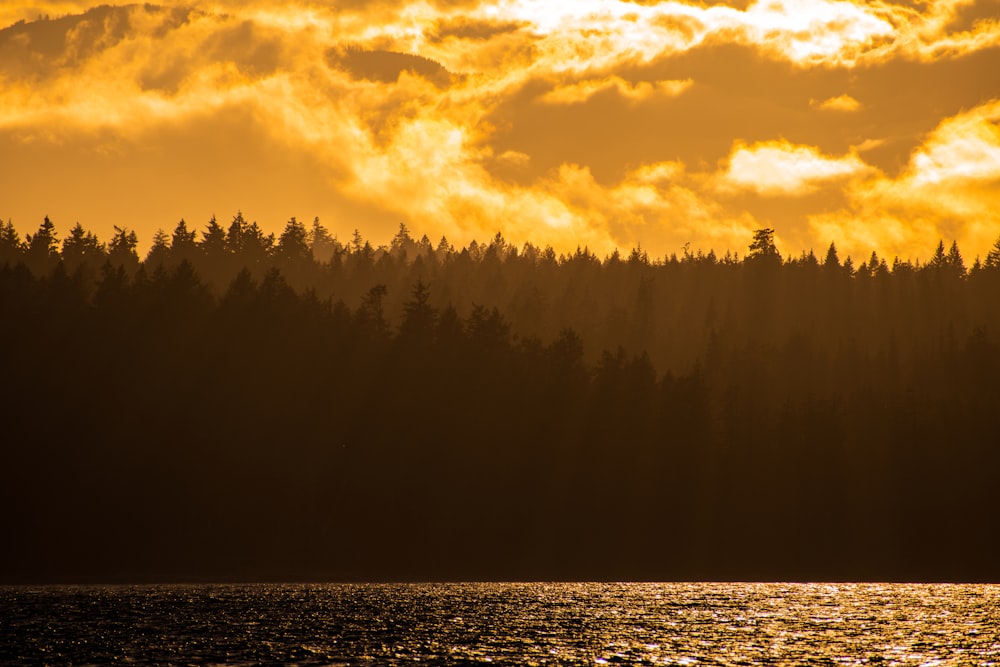 the sun is setting over the trees and water