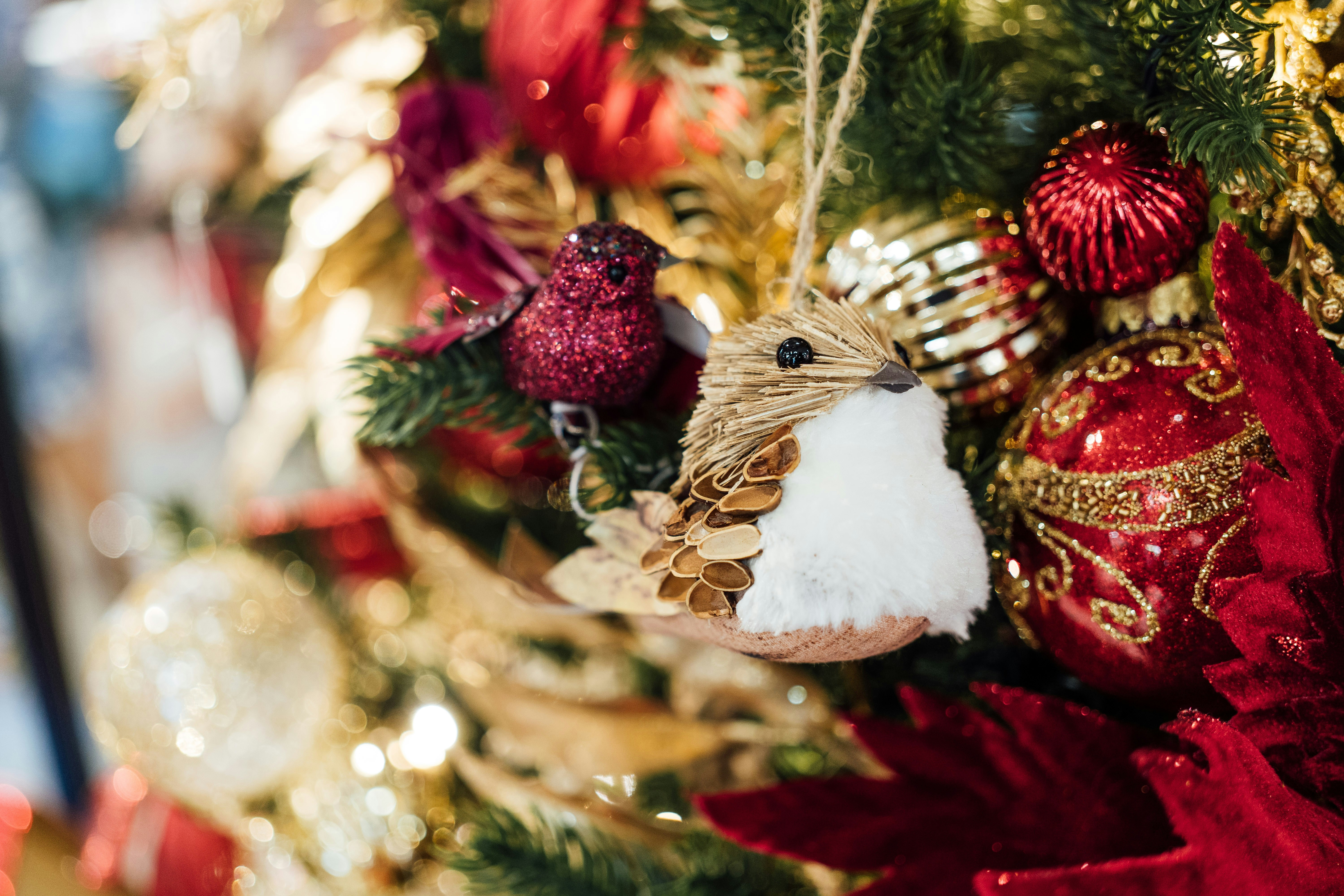 Photo by chuttersnap