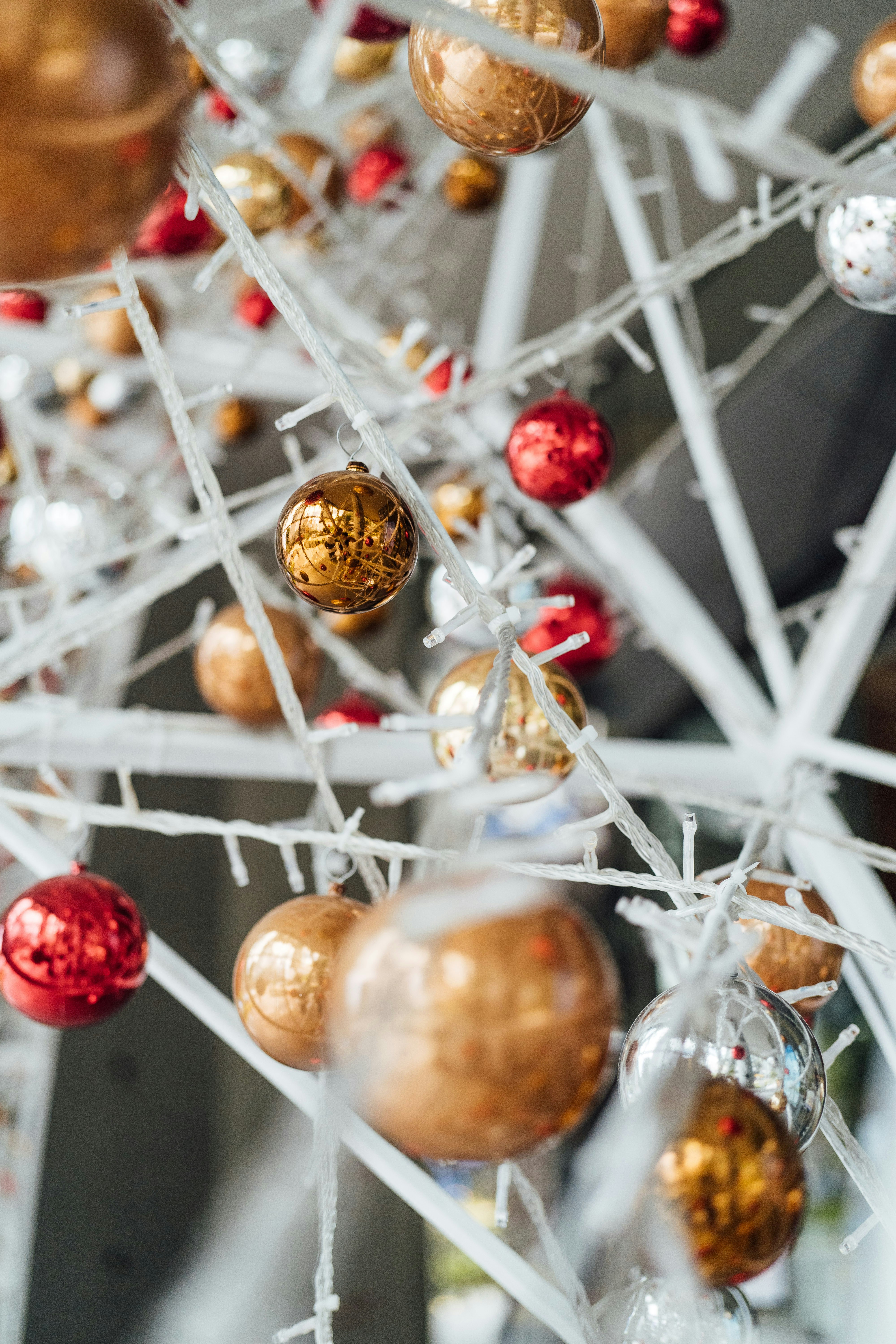 Photo by chuttersnap