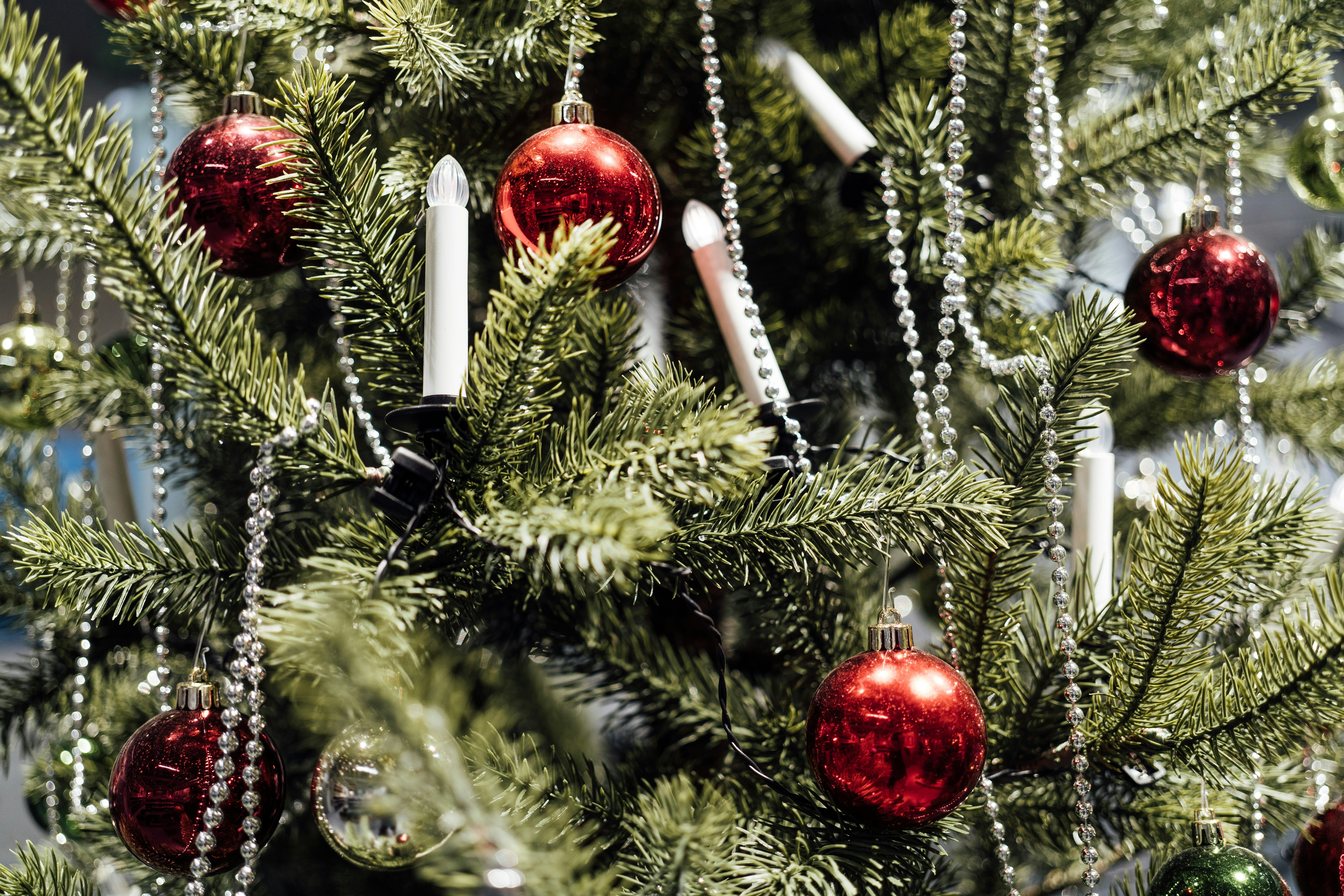 Photo by chuttersnap