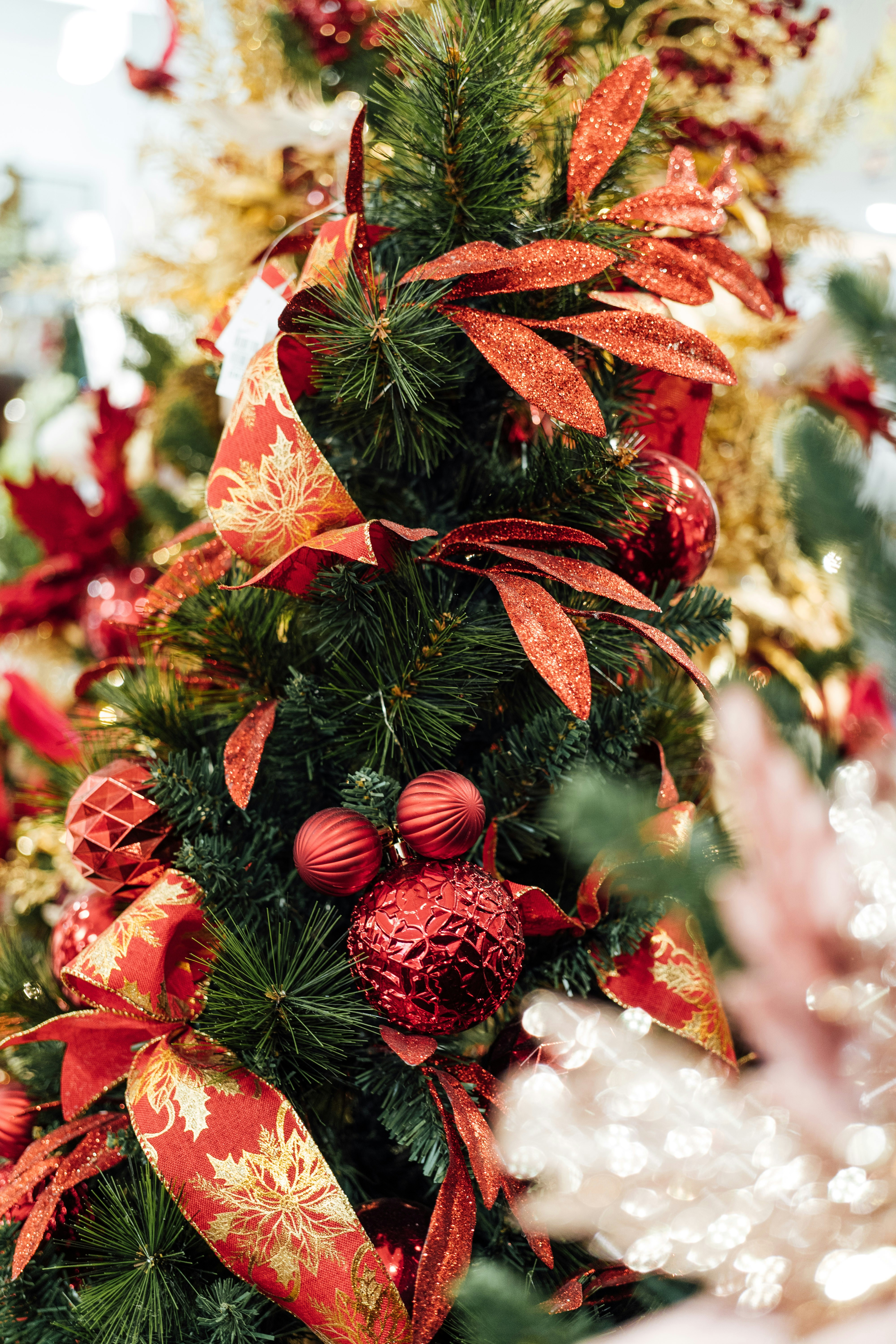 Photo by chuttersnap