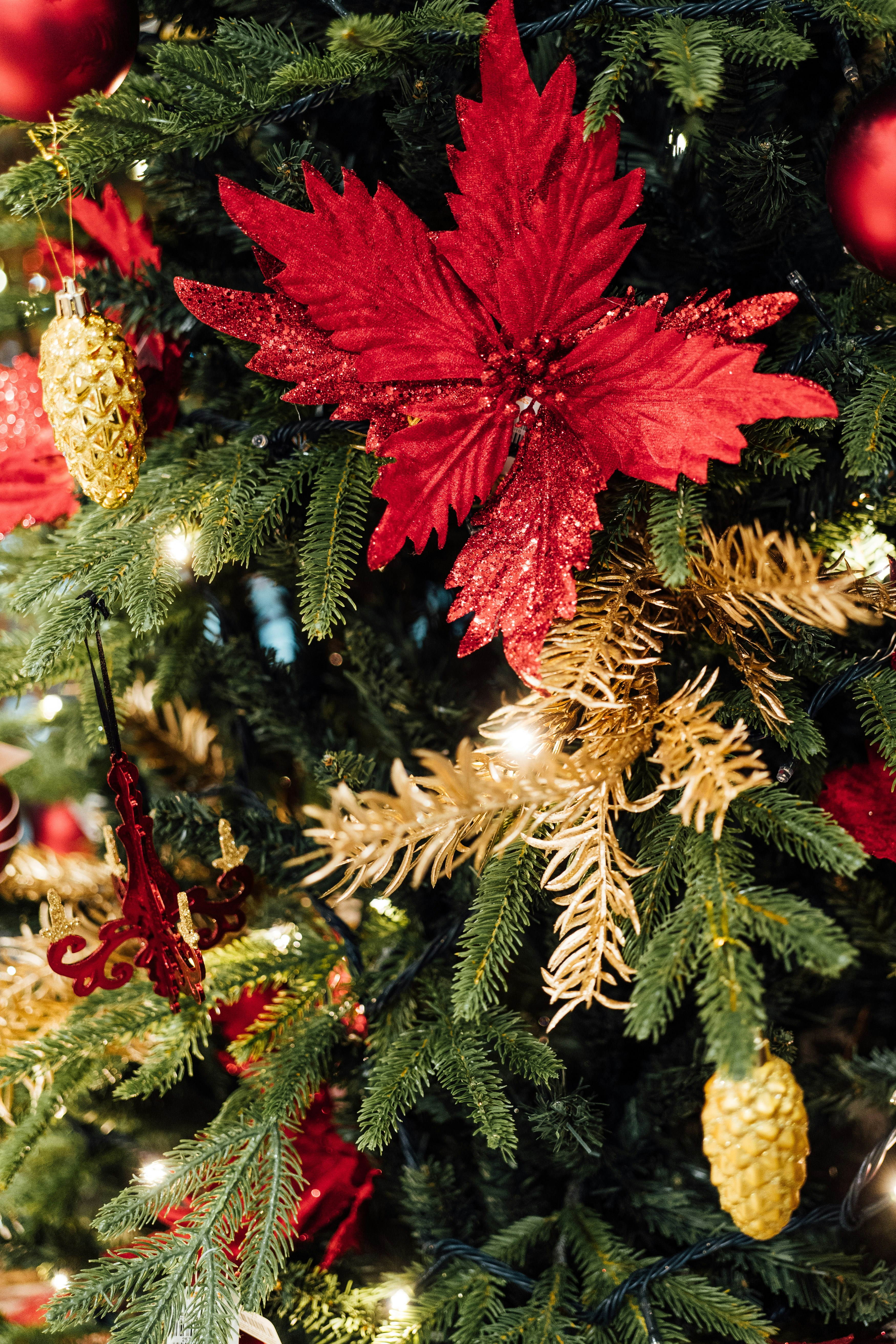 Photo by chuttersnap