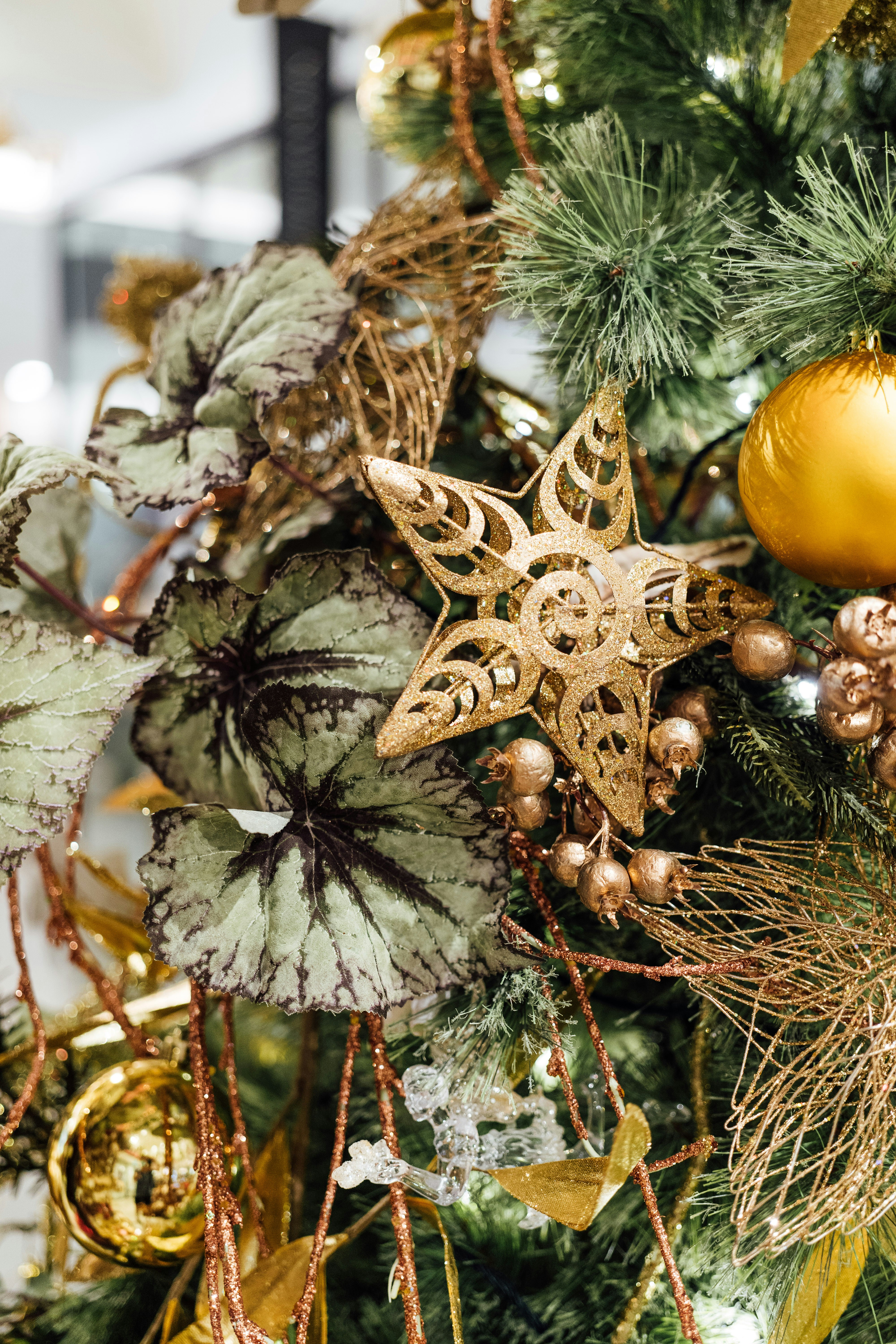 Photo by chuttersnap