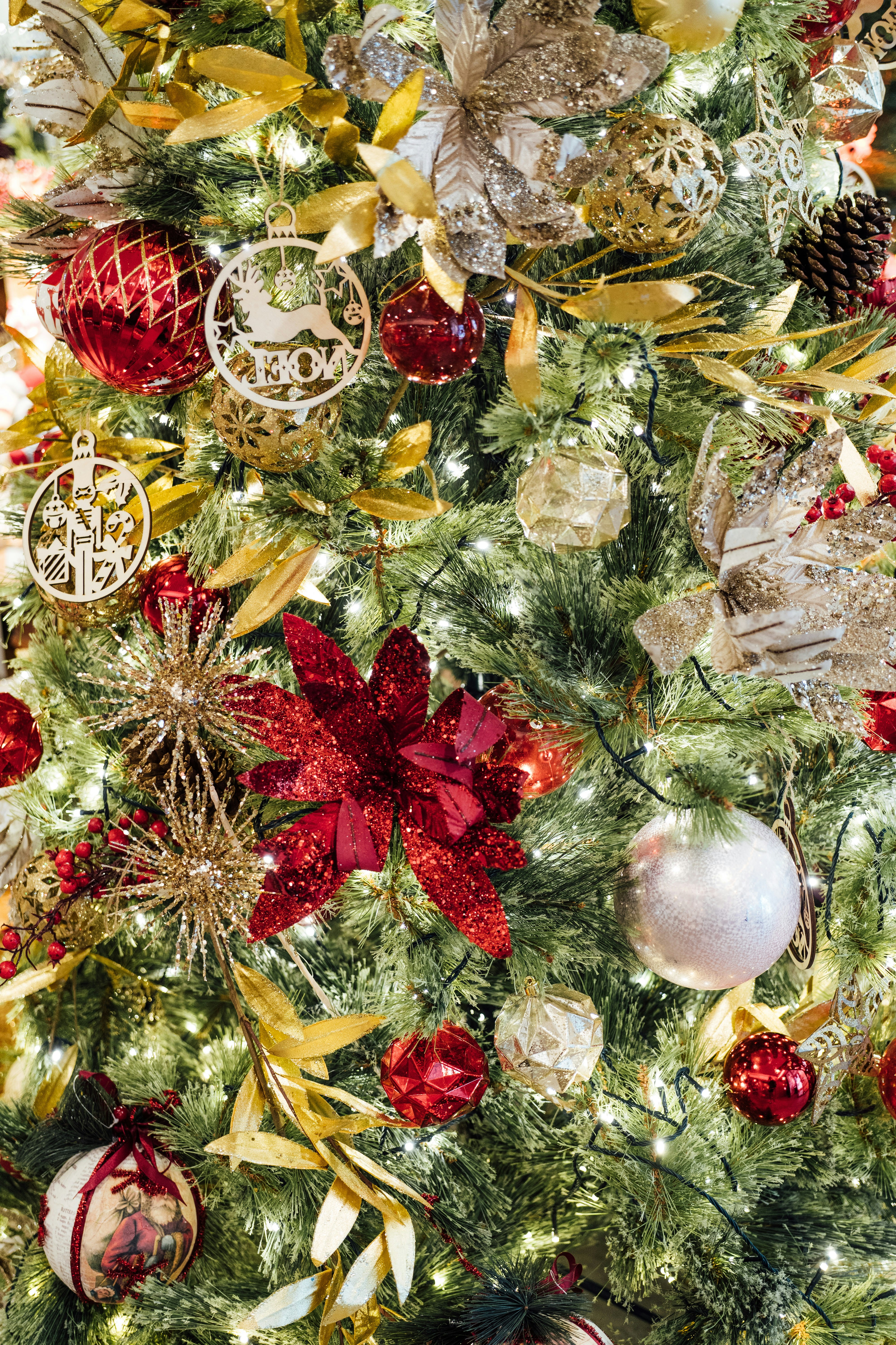 Photo by chuttersnap