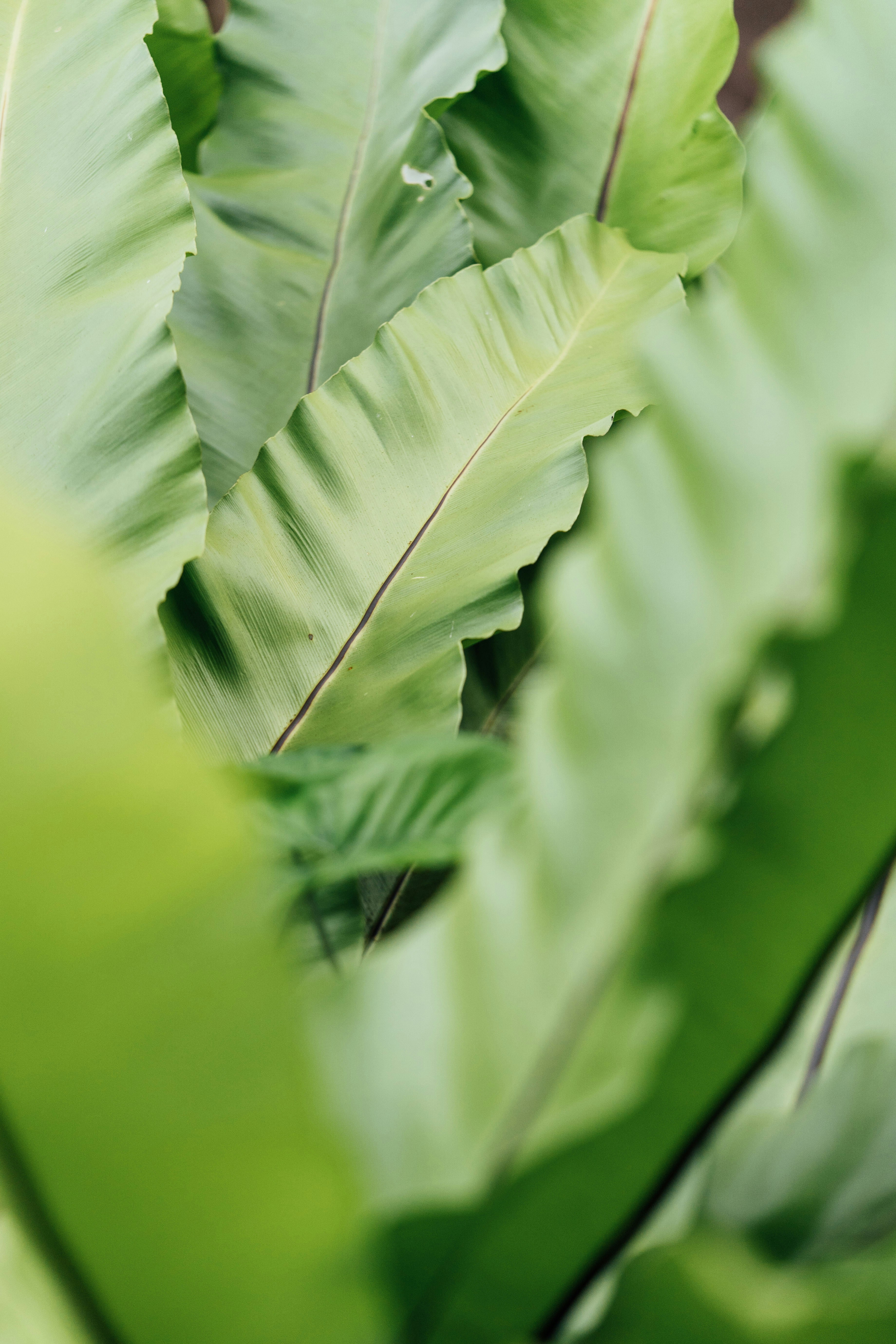 Photo by chuttersnap