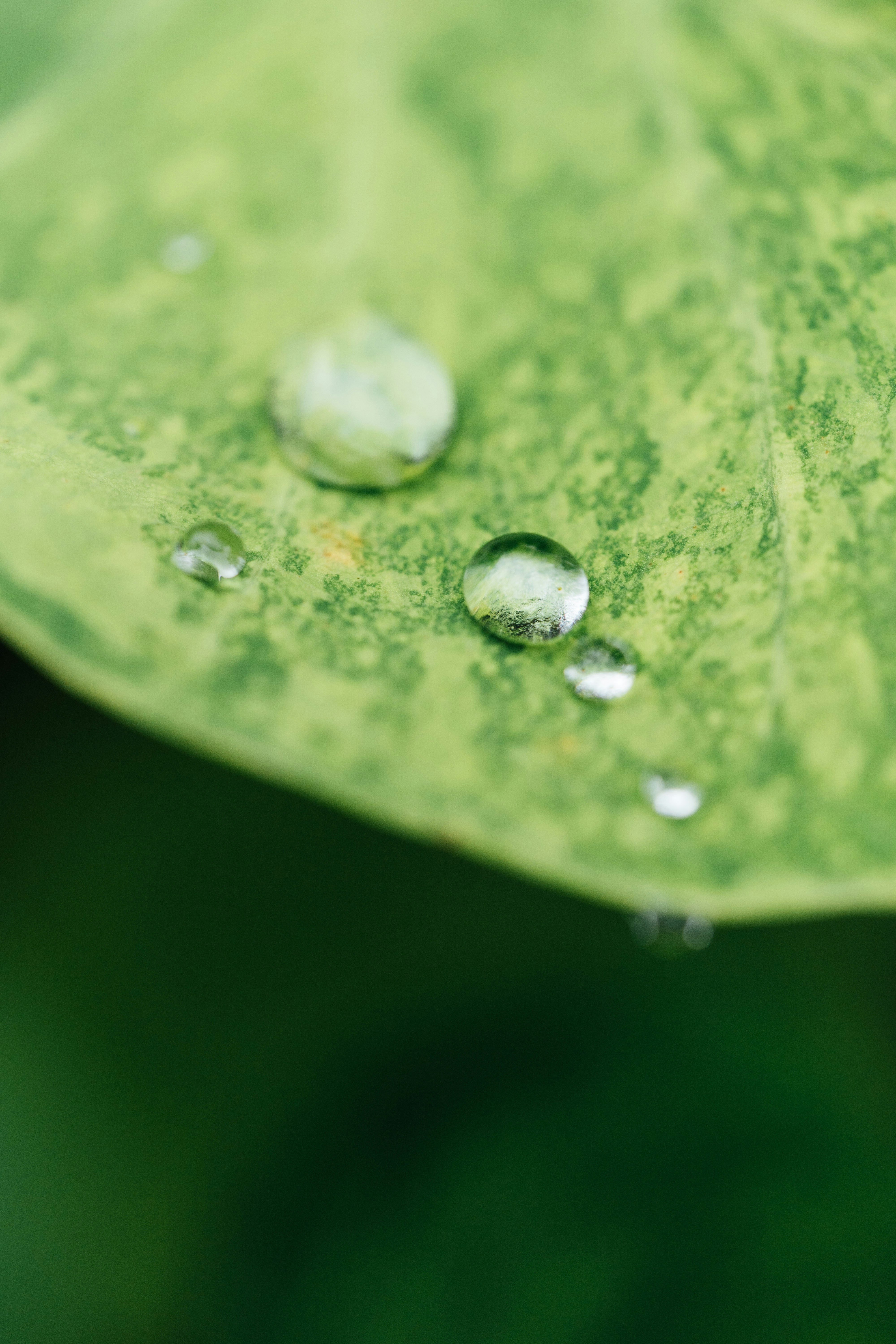 Photo by chuttersnap