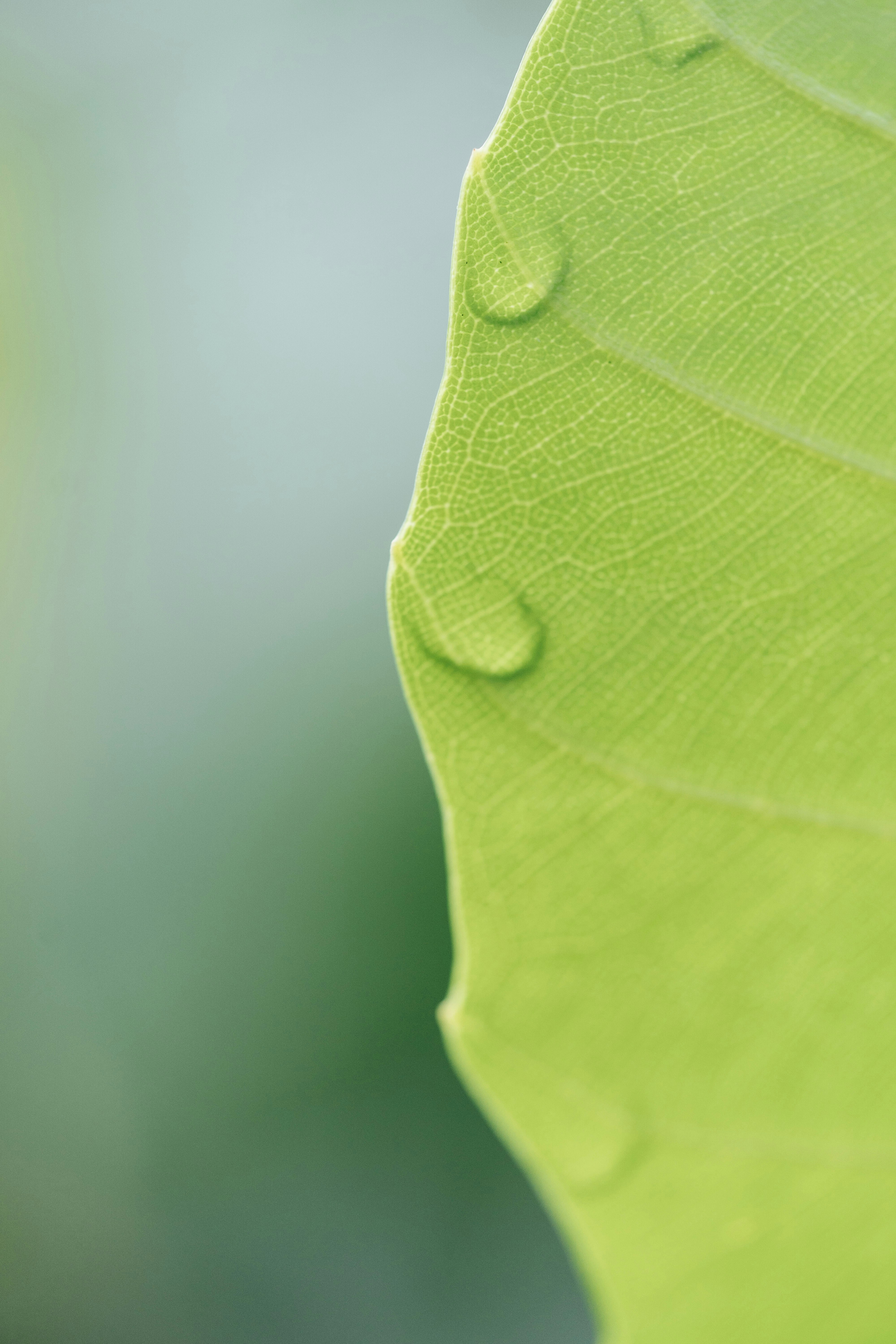 Photo by chuttersnap