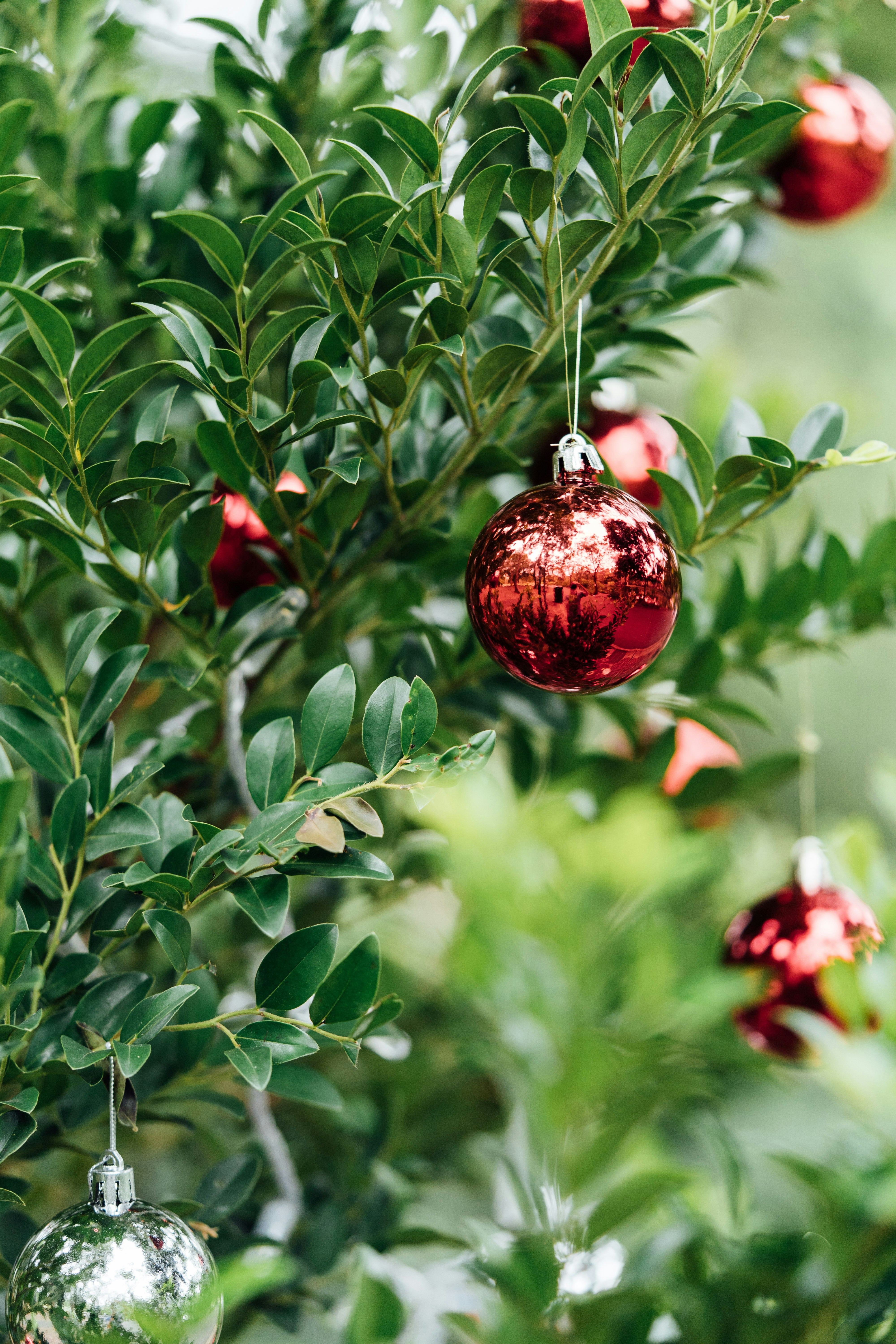 Photo by chuttersnap