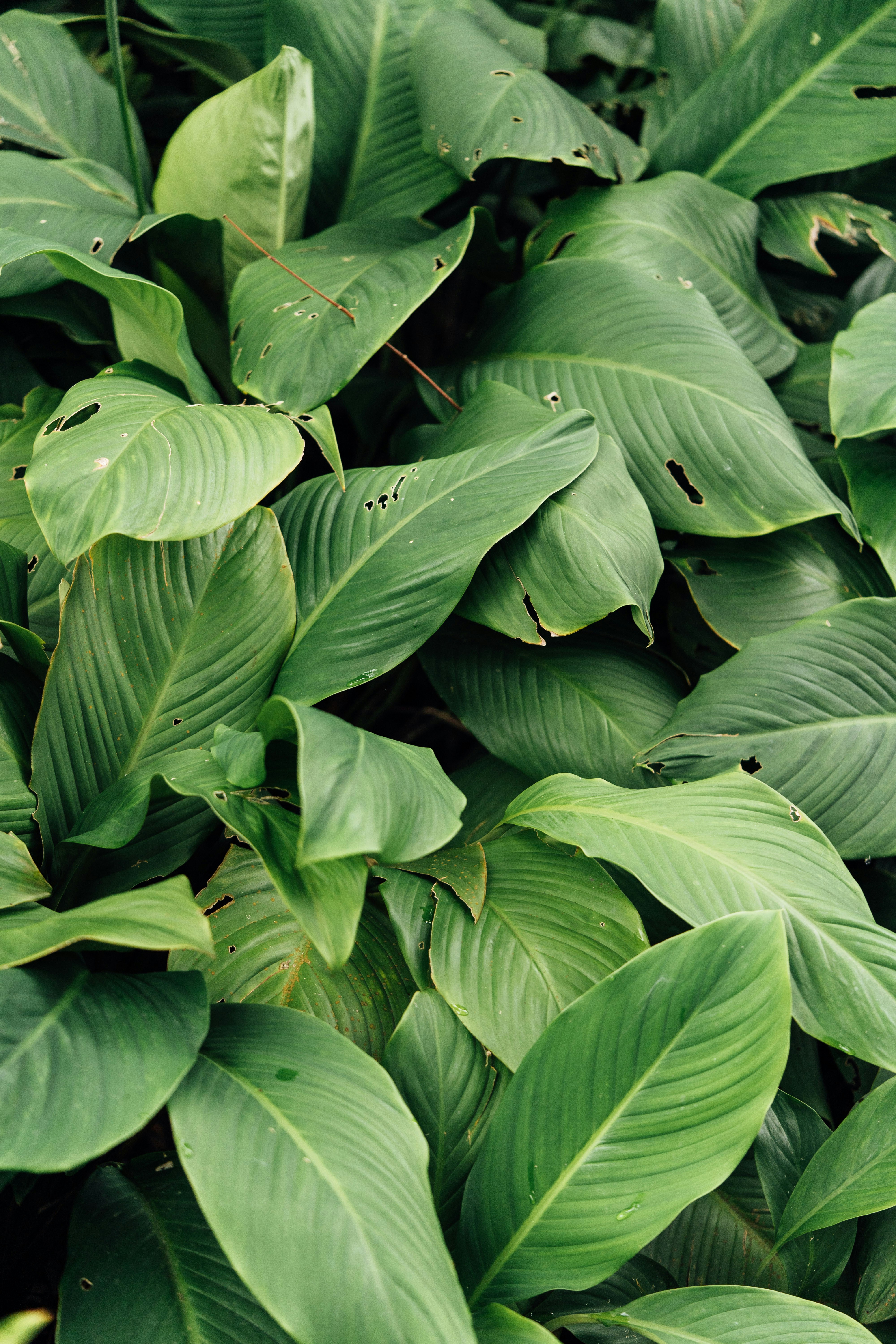 Photo by chuttersnap