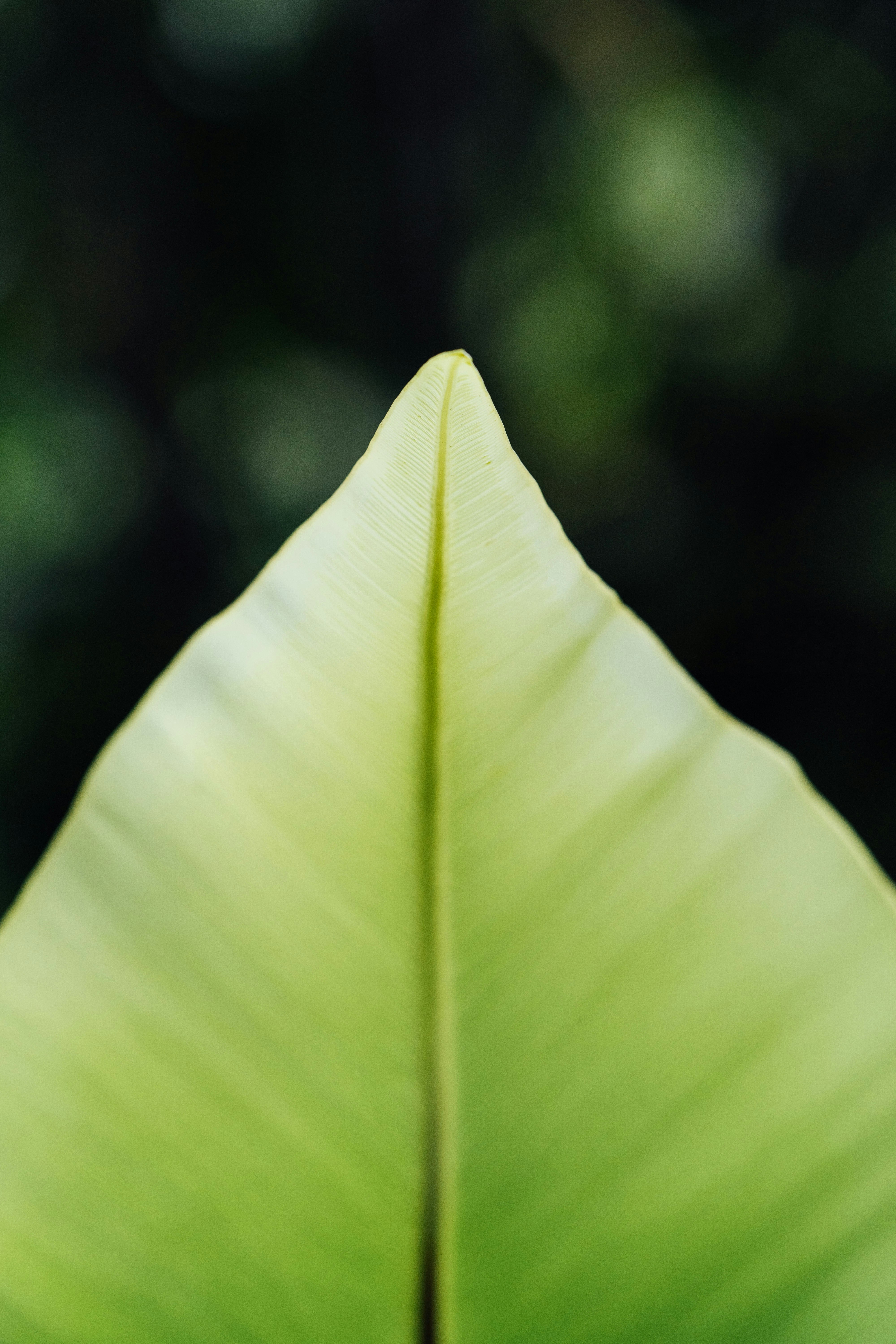 Photo by chuttersnap