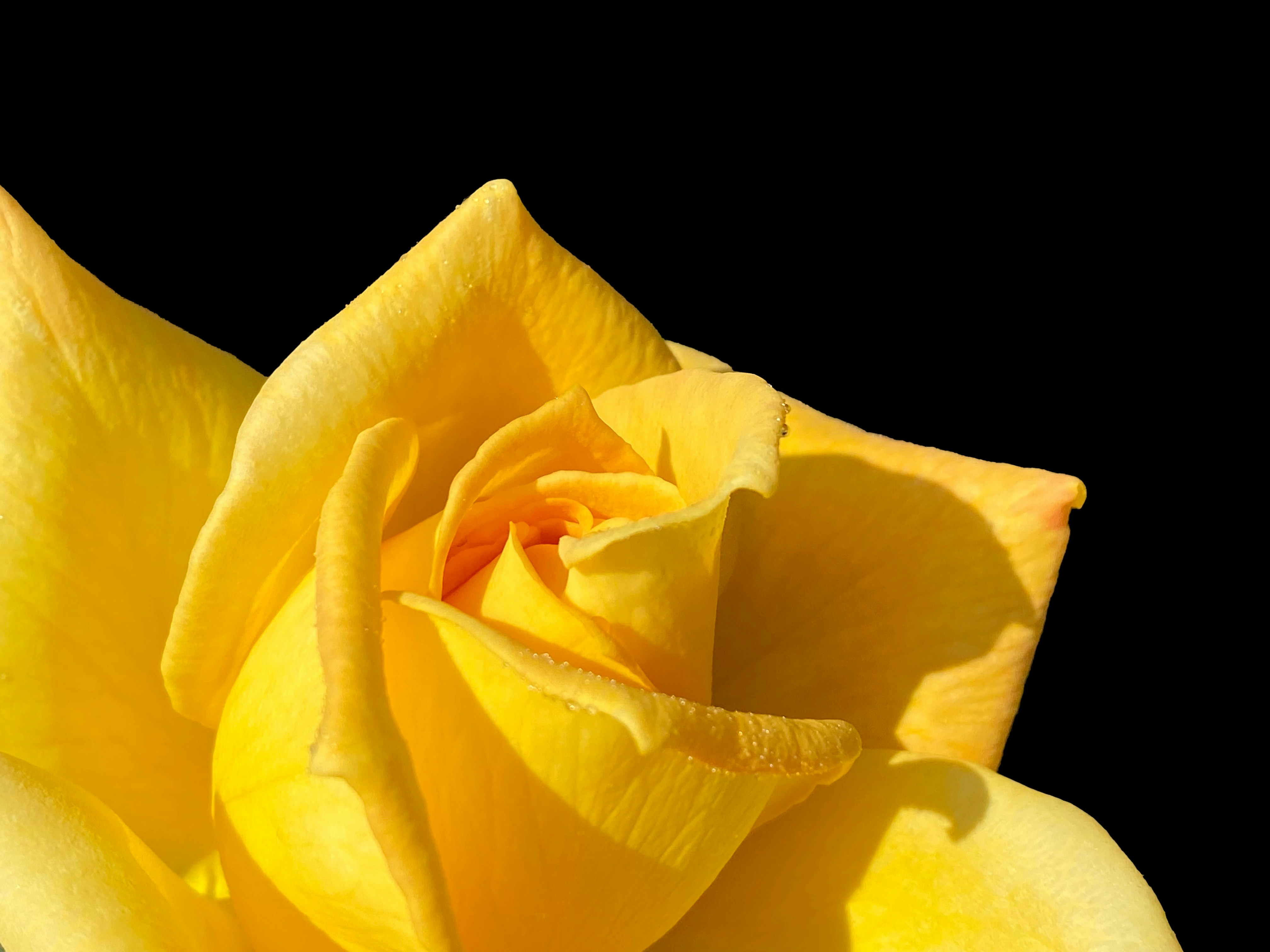 Photo by mathewjohn242