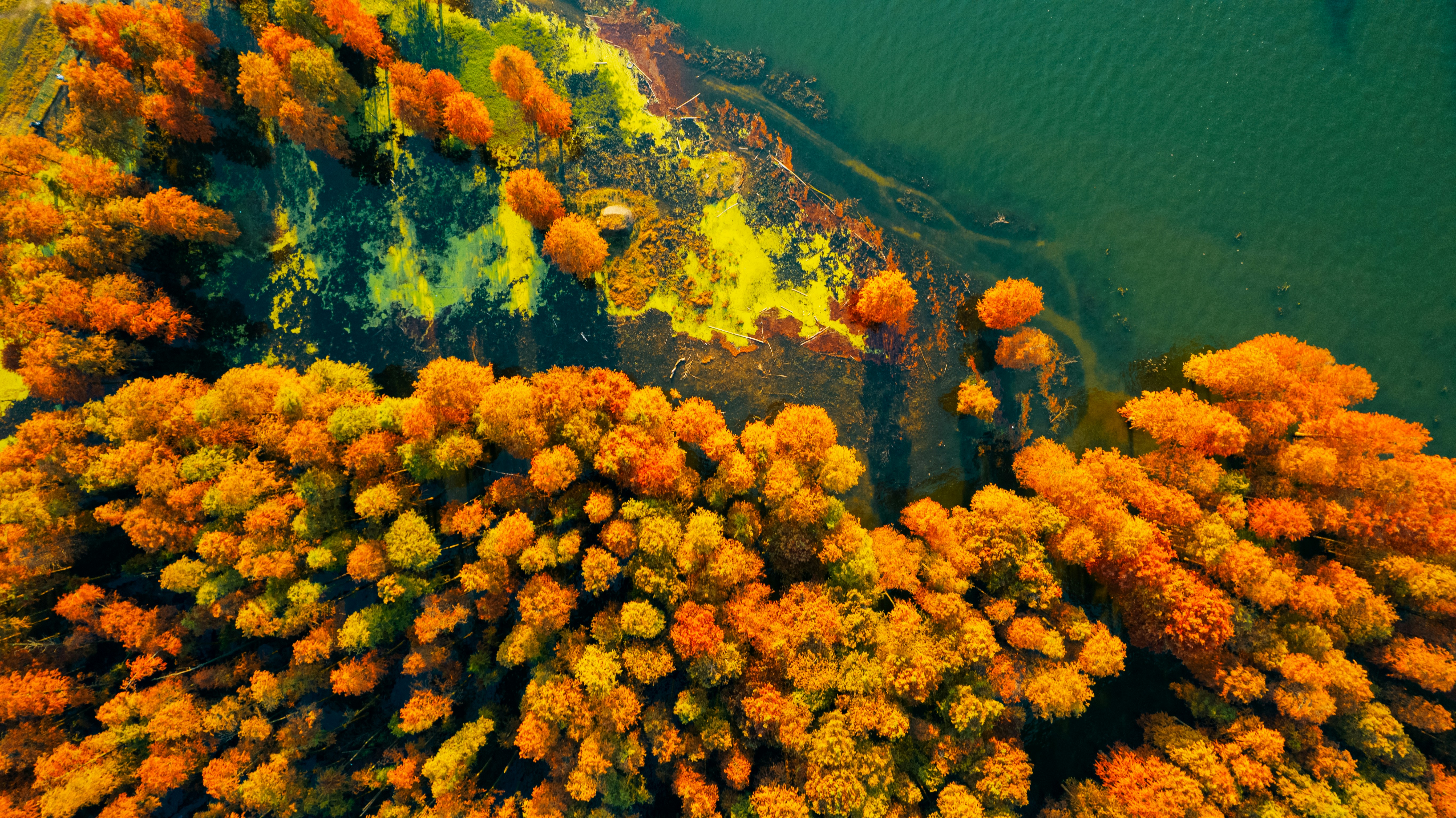 photo-1638592478849-b2c192064d87?ixid=M3