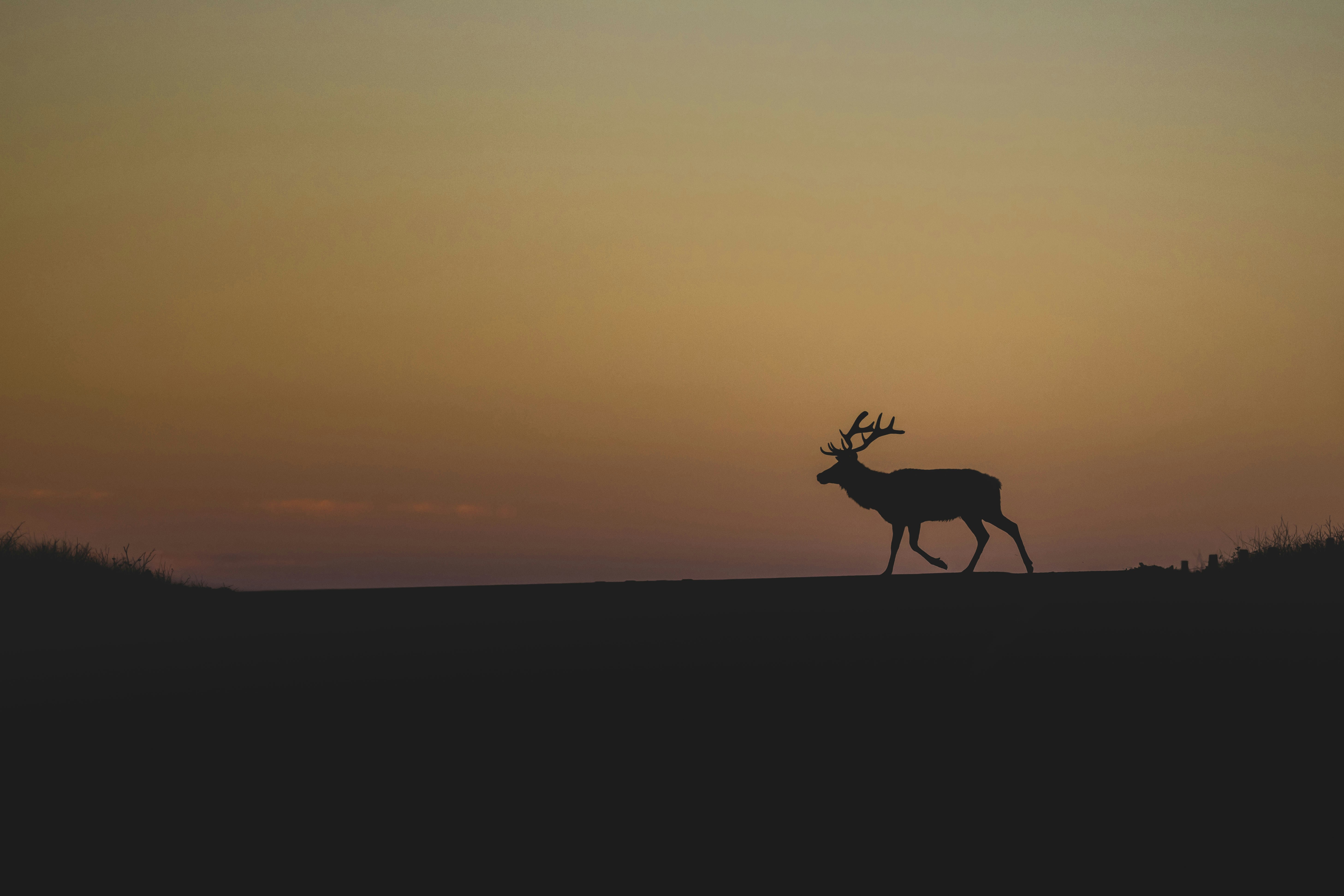 Photo by leo_visions_