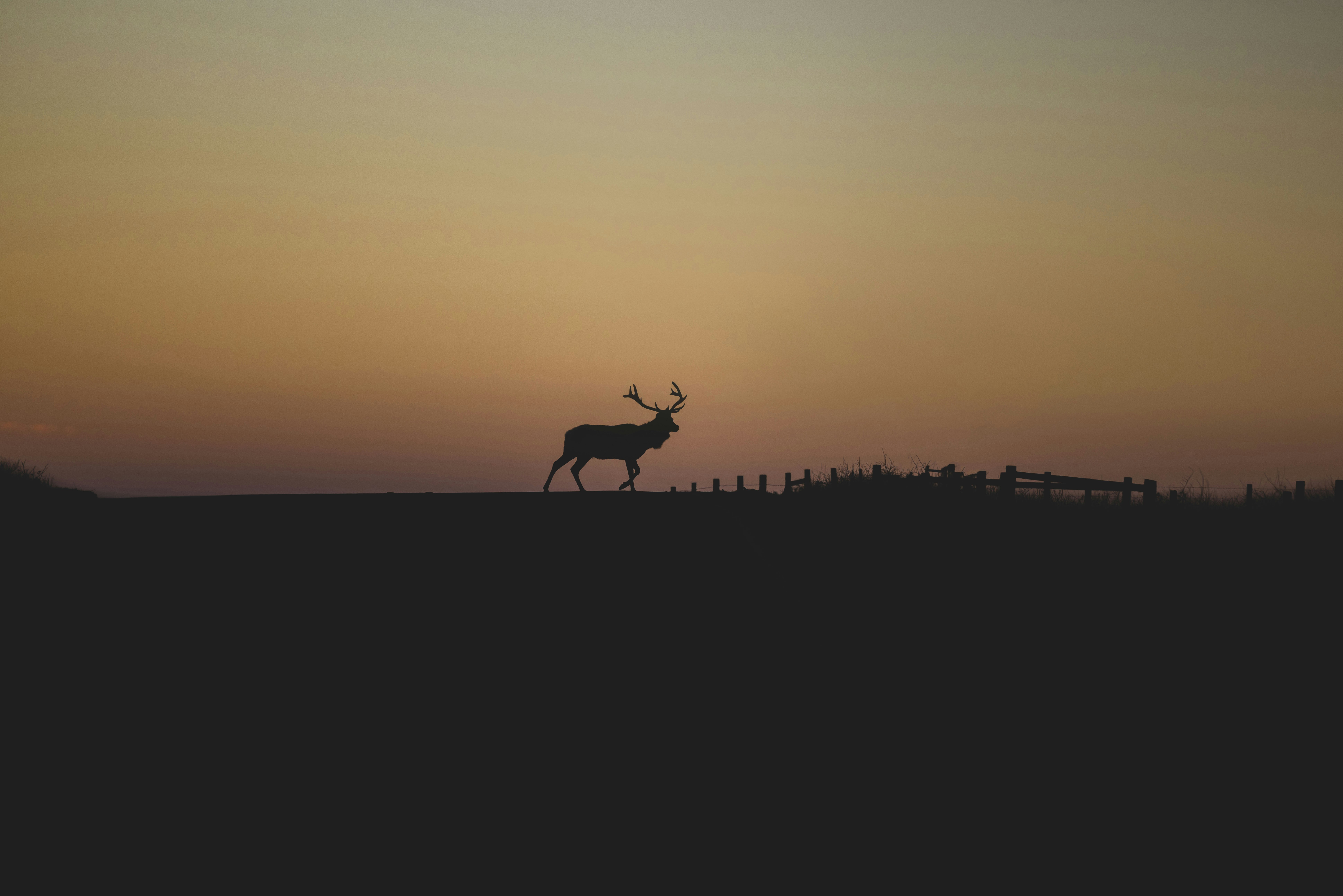 Photo by leo_visions_