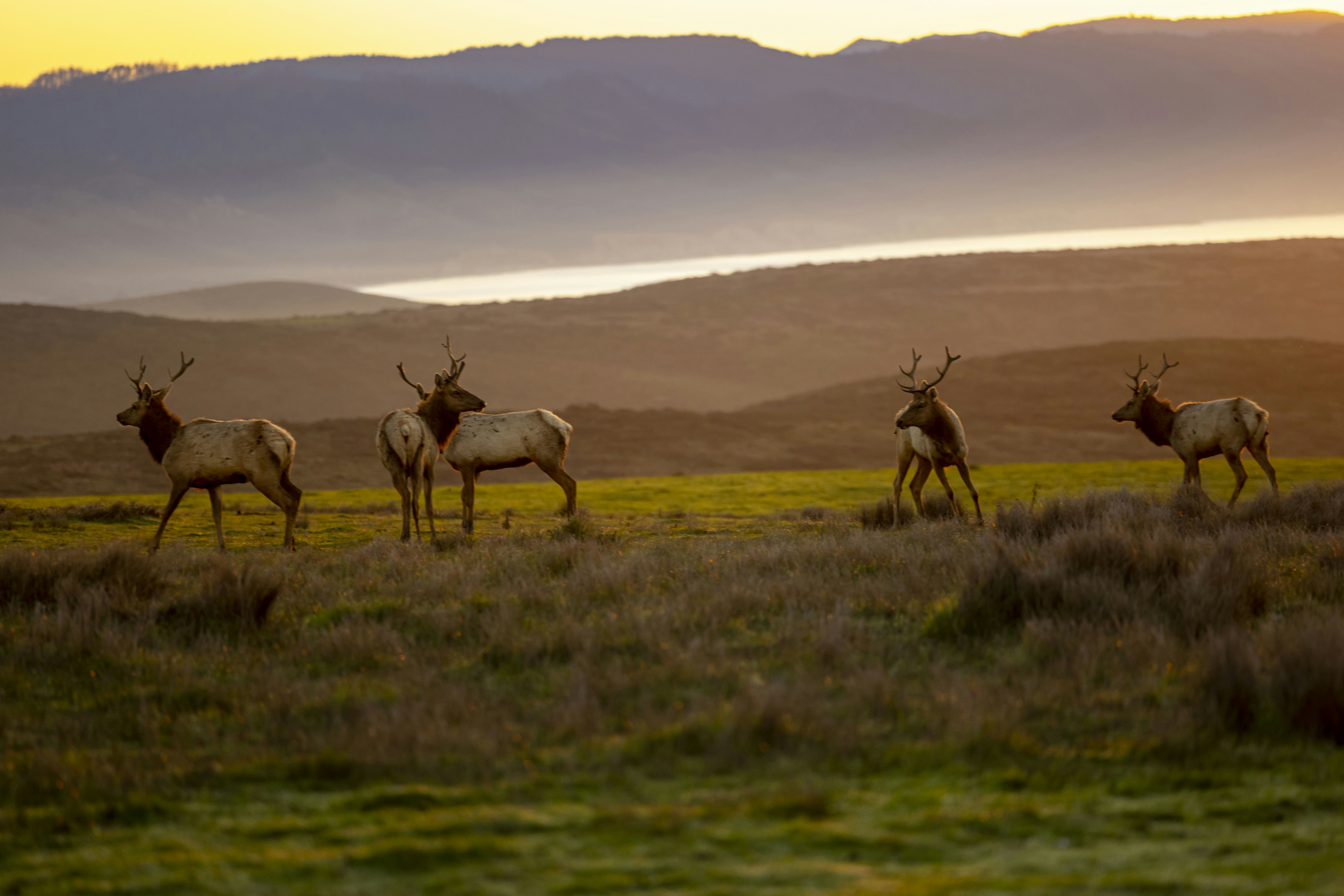 Photo by leo_visions_