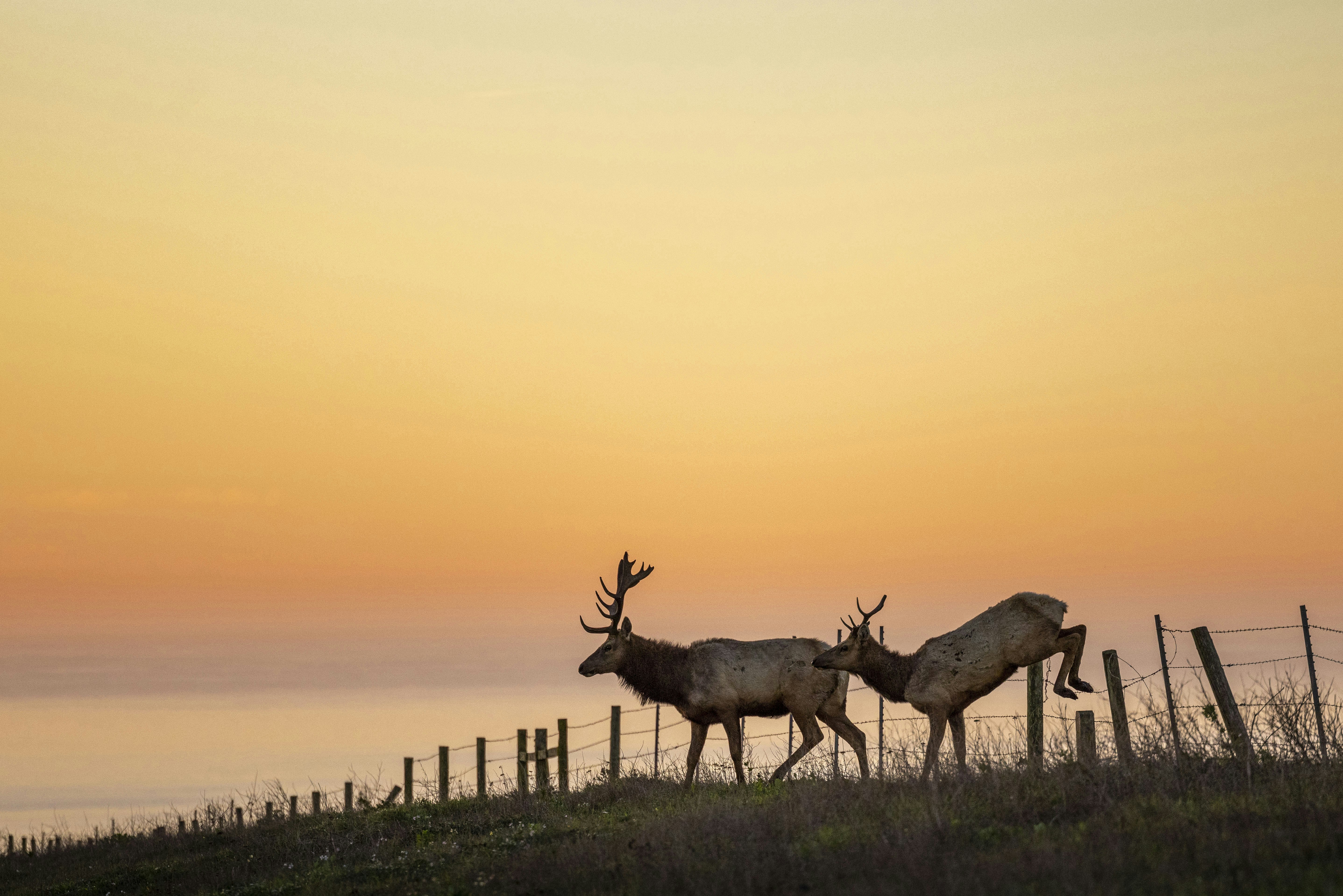 Photo by leo_visions_