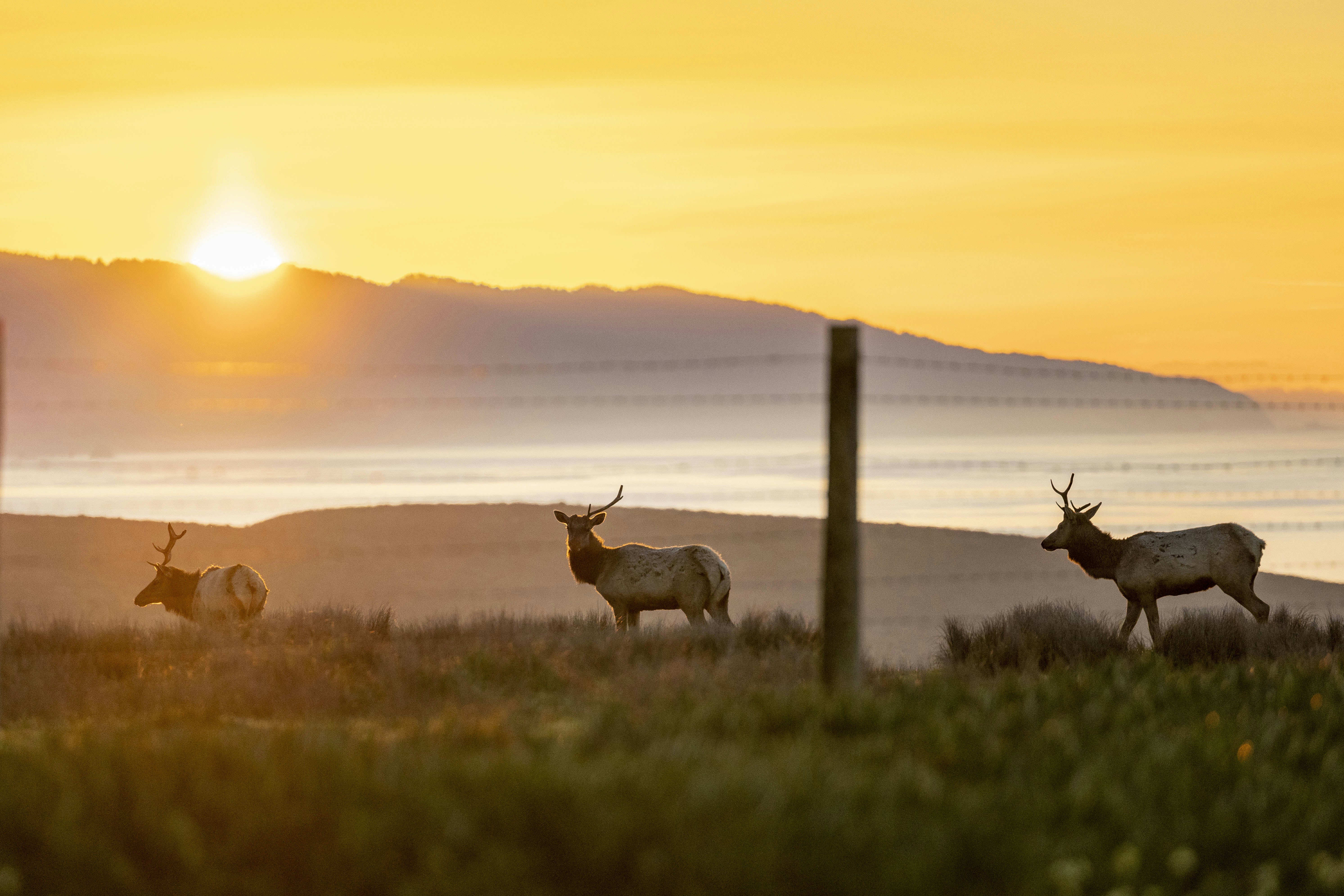 Photo by leo_visions_