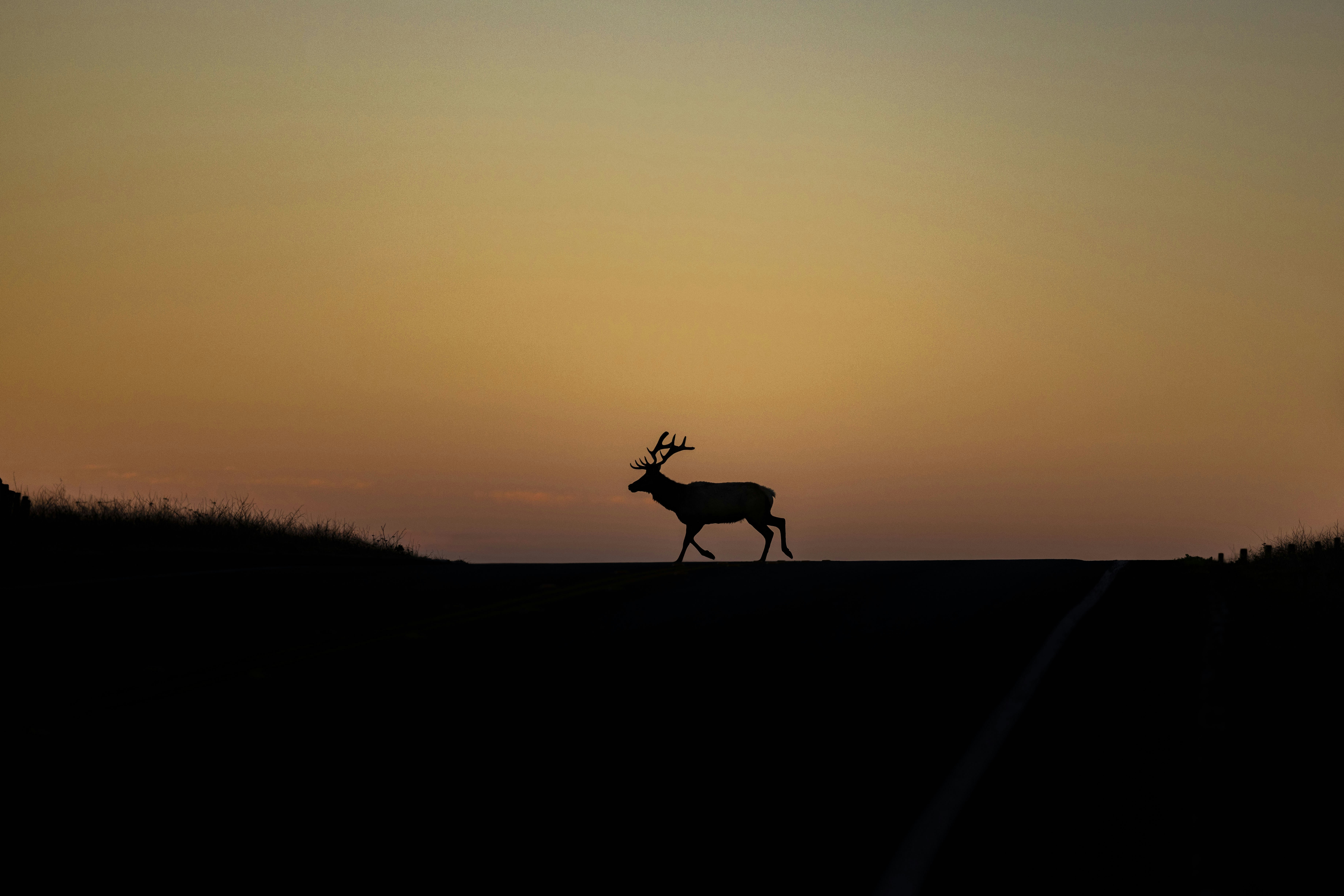 Photo by leo_visions_