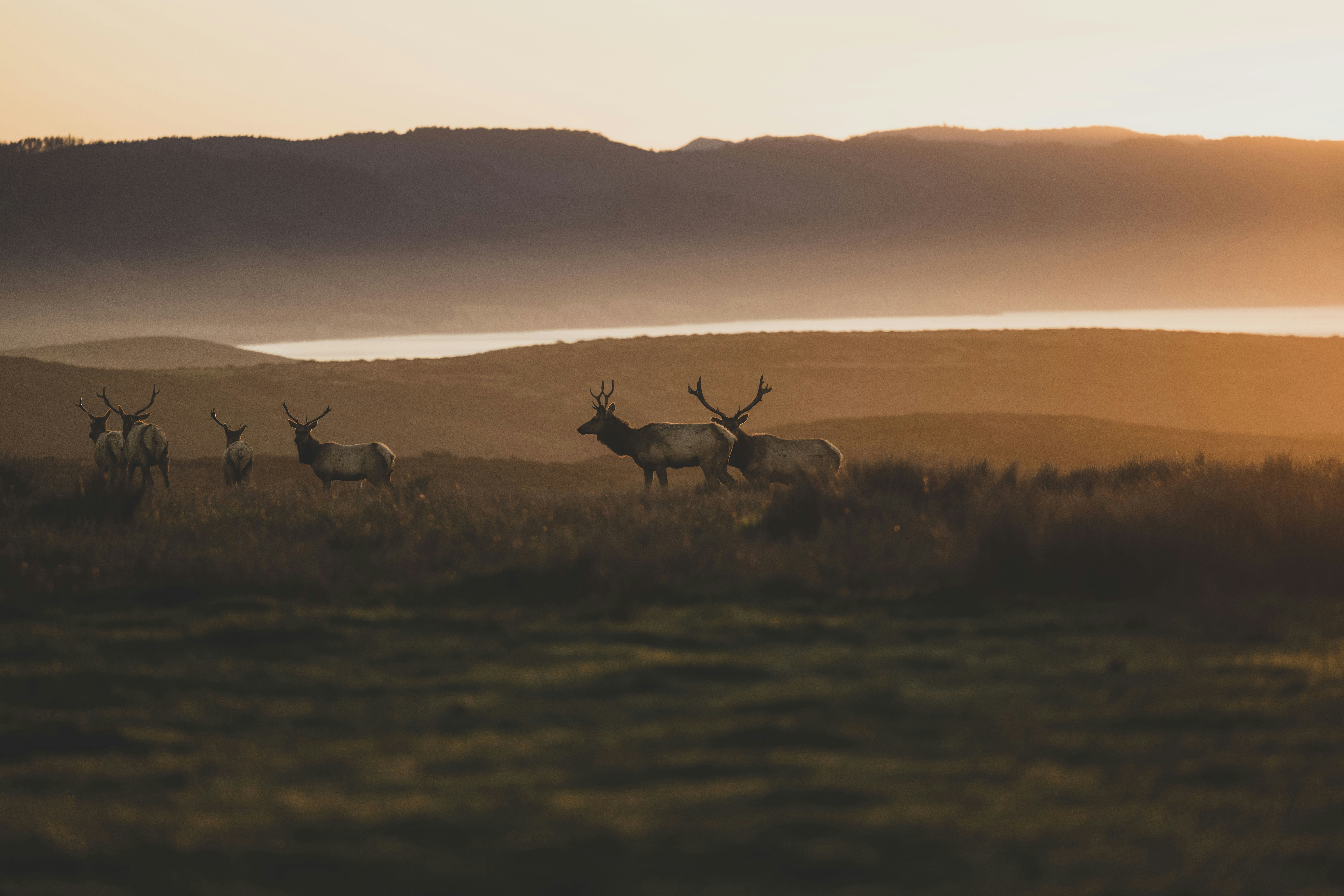 Photo by leo_visions_