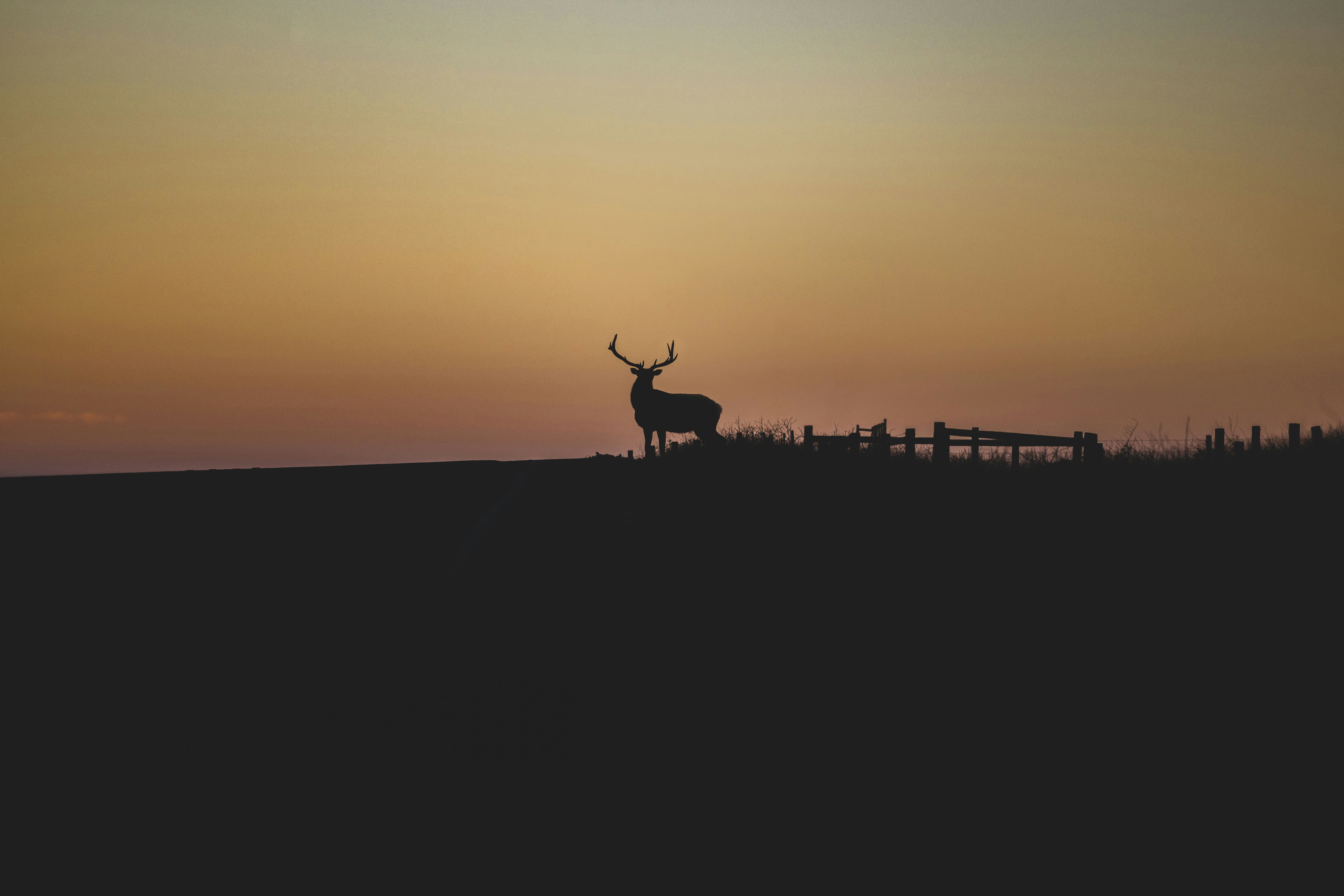 Photo by leo_visions_