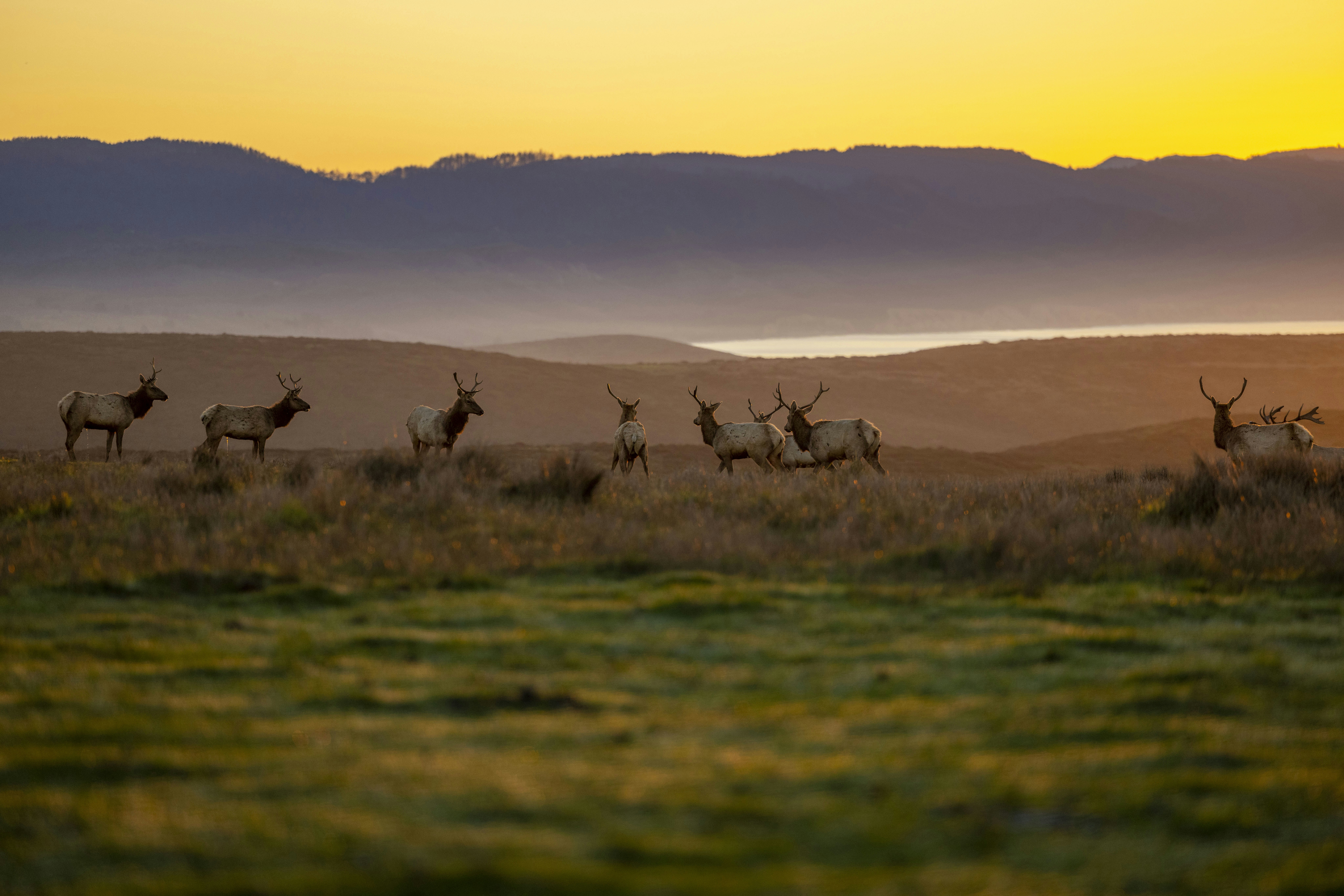 Photo by leo_visions_