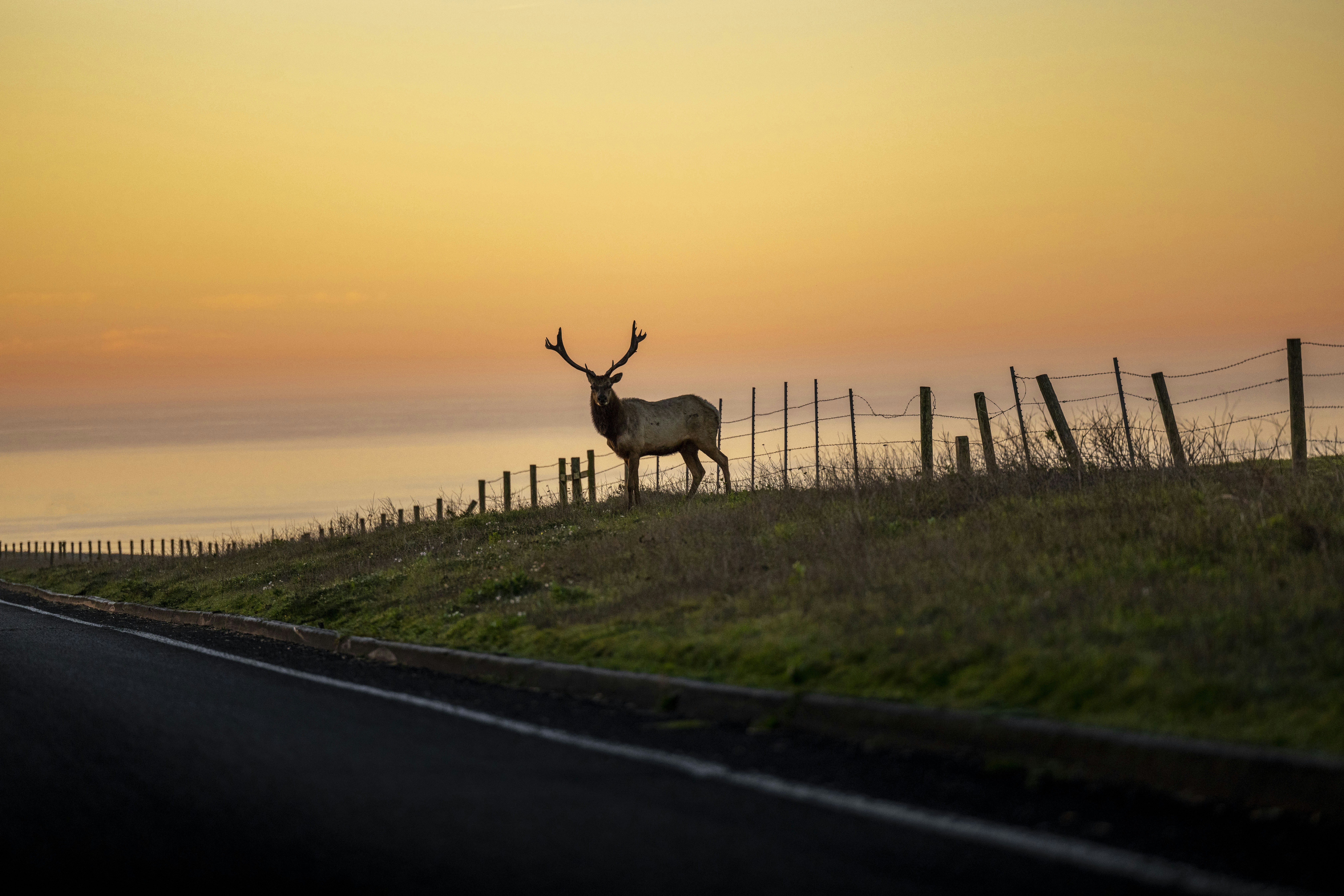 Photo by leo_visions_