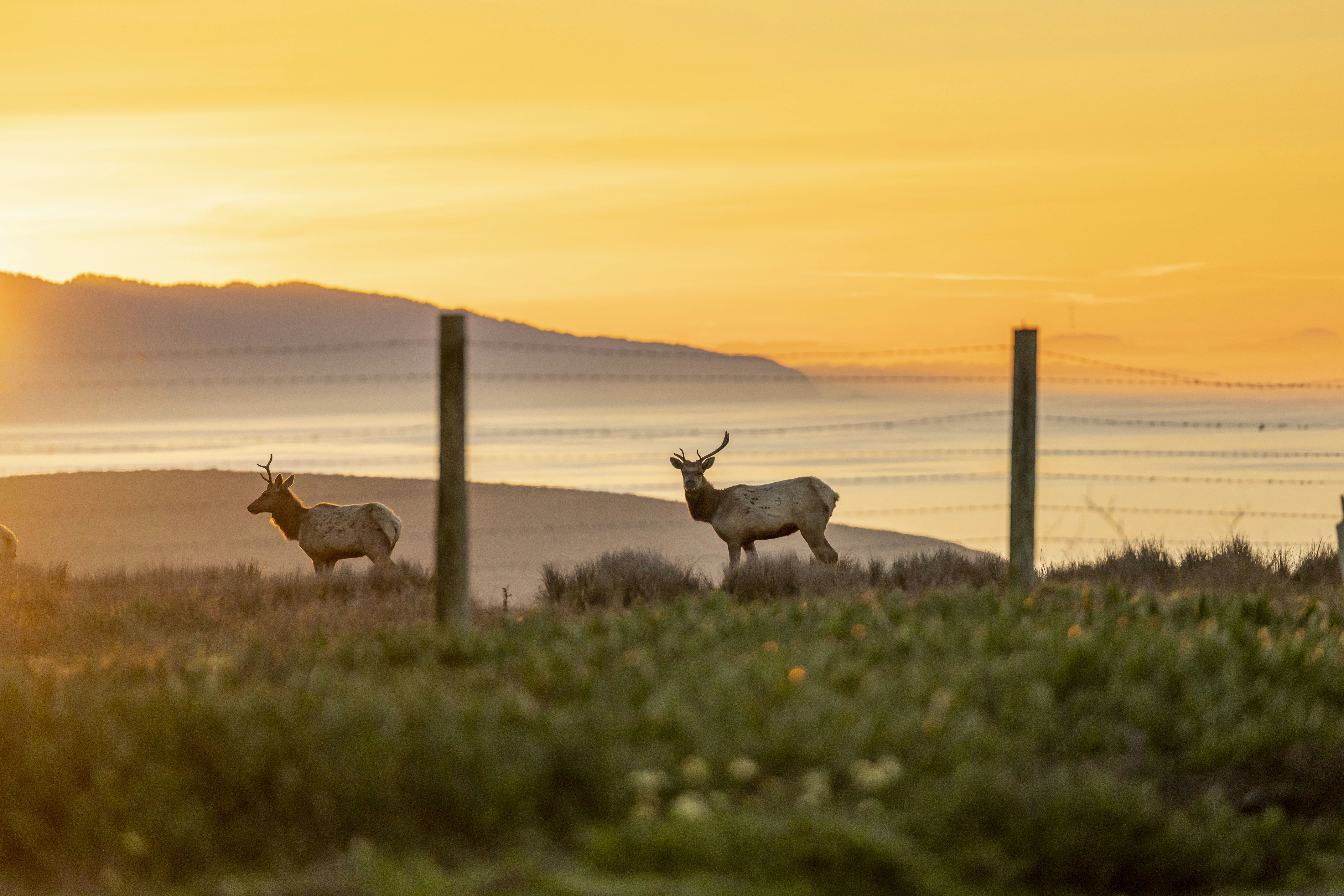 Photo by leo_visions_