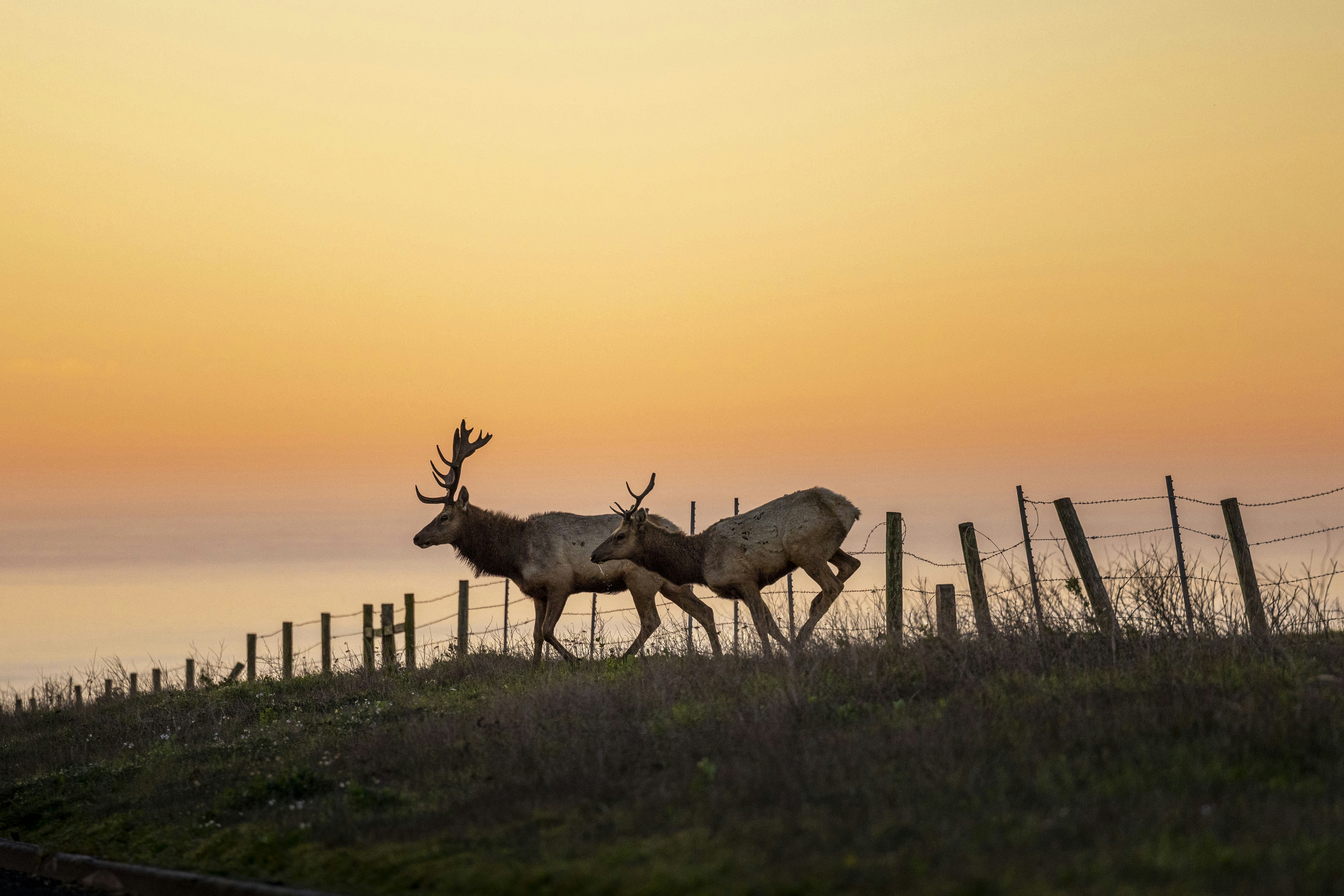 Photo by leo_visions_