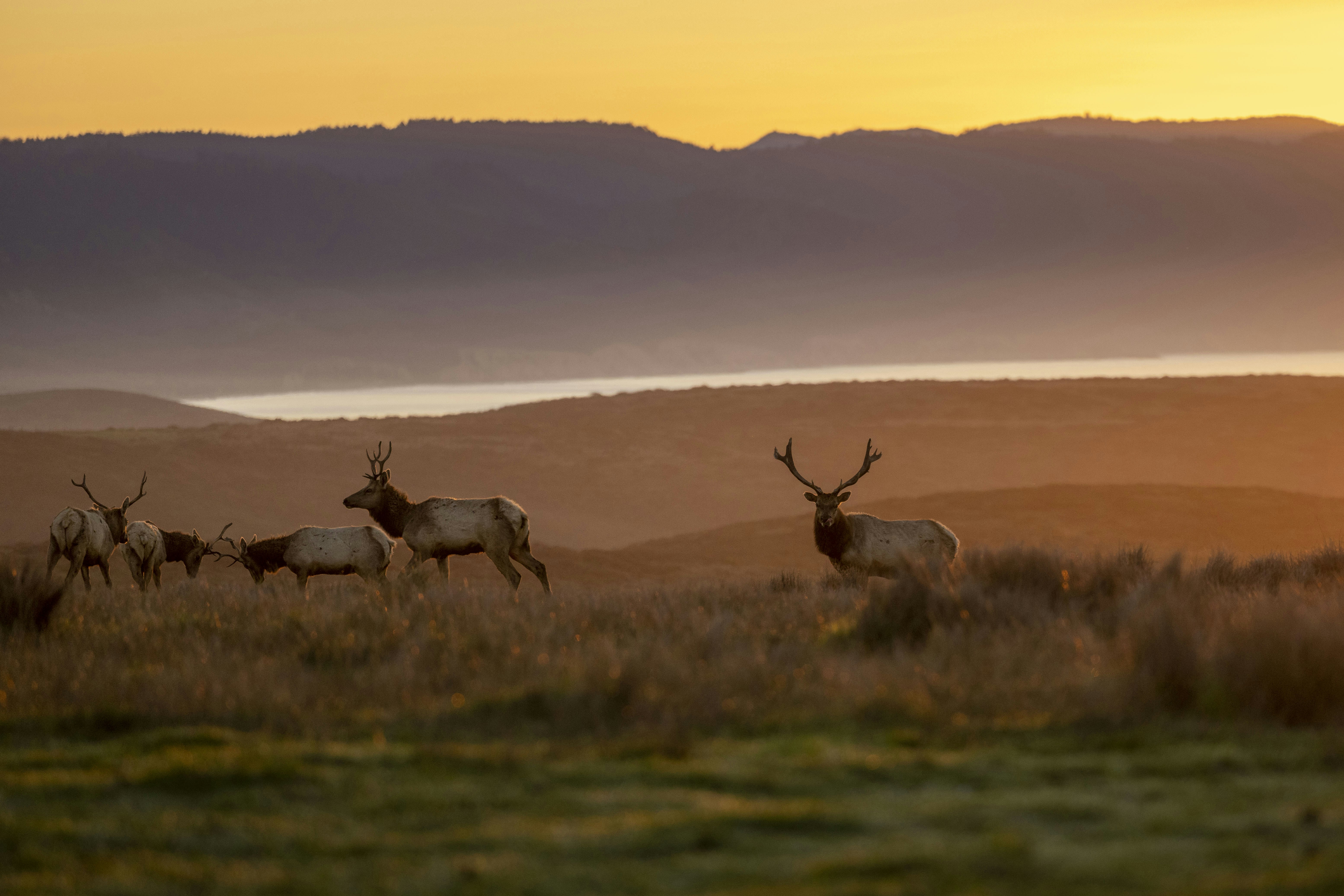 Photo by leo_visions_