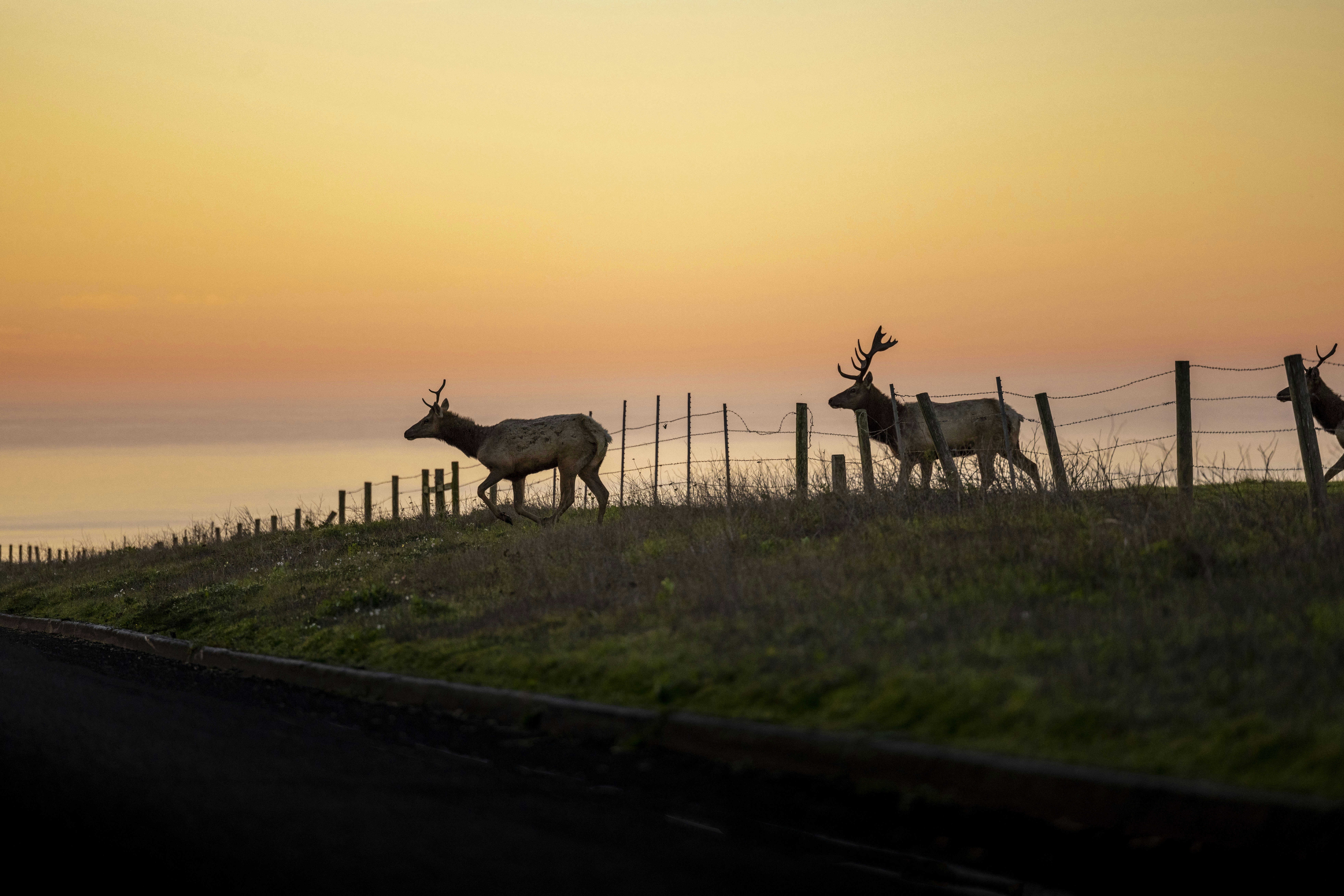 Photo by leo_visions_