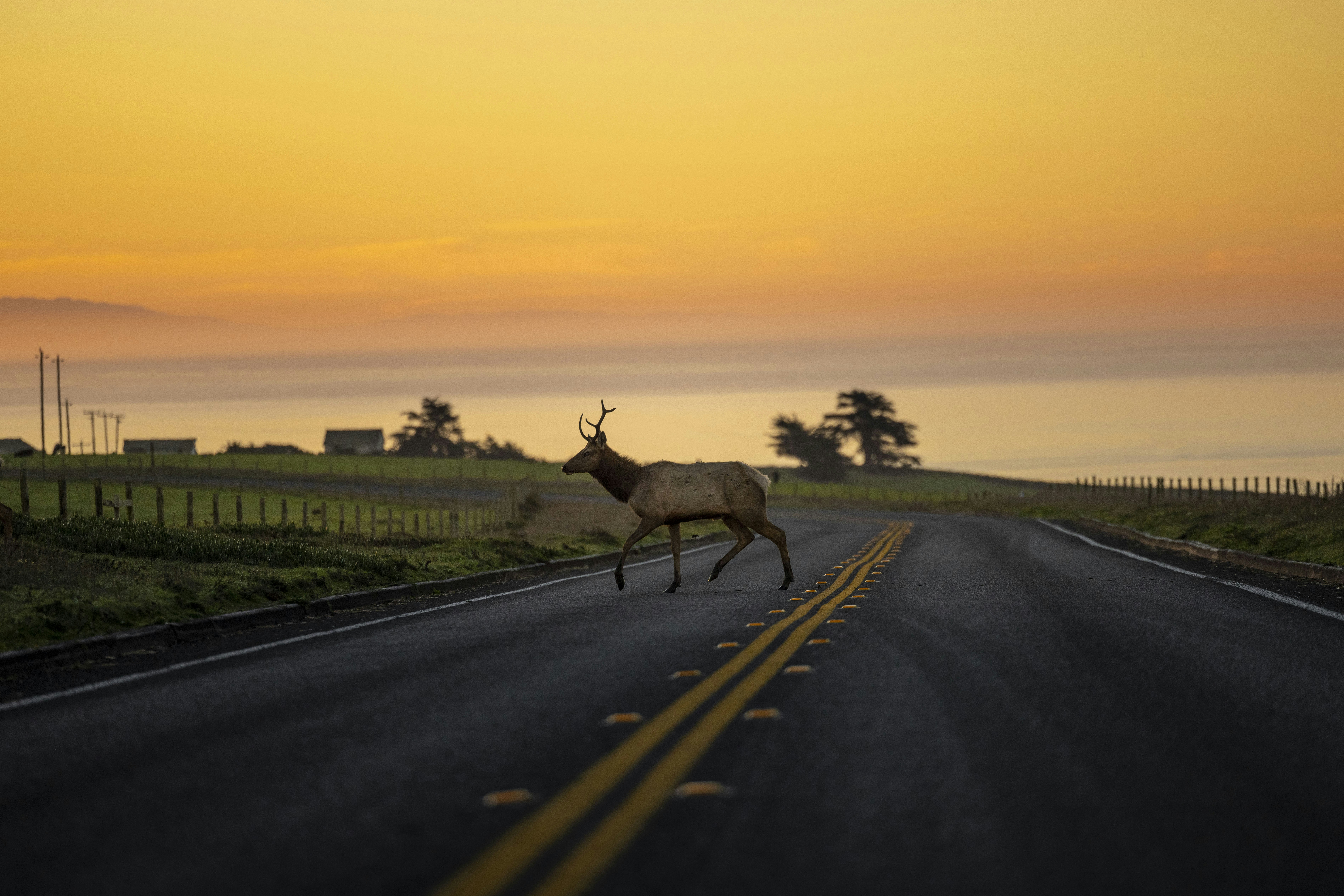 Photo by leo_visions_