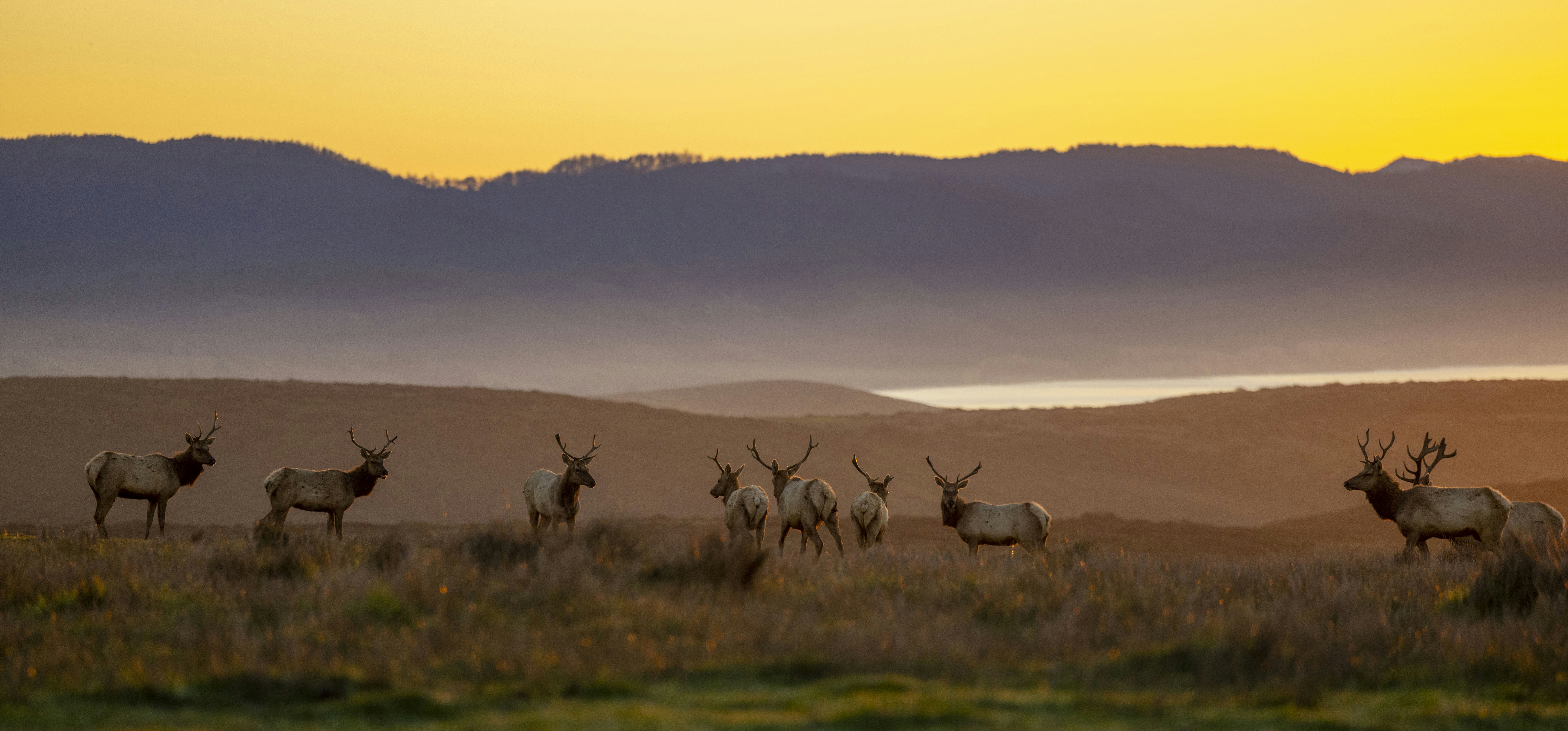 Photo by leo_visions_