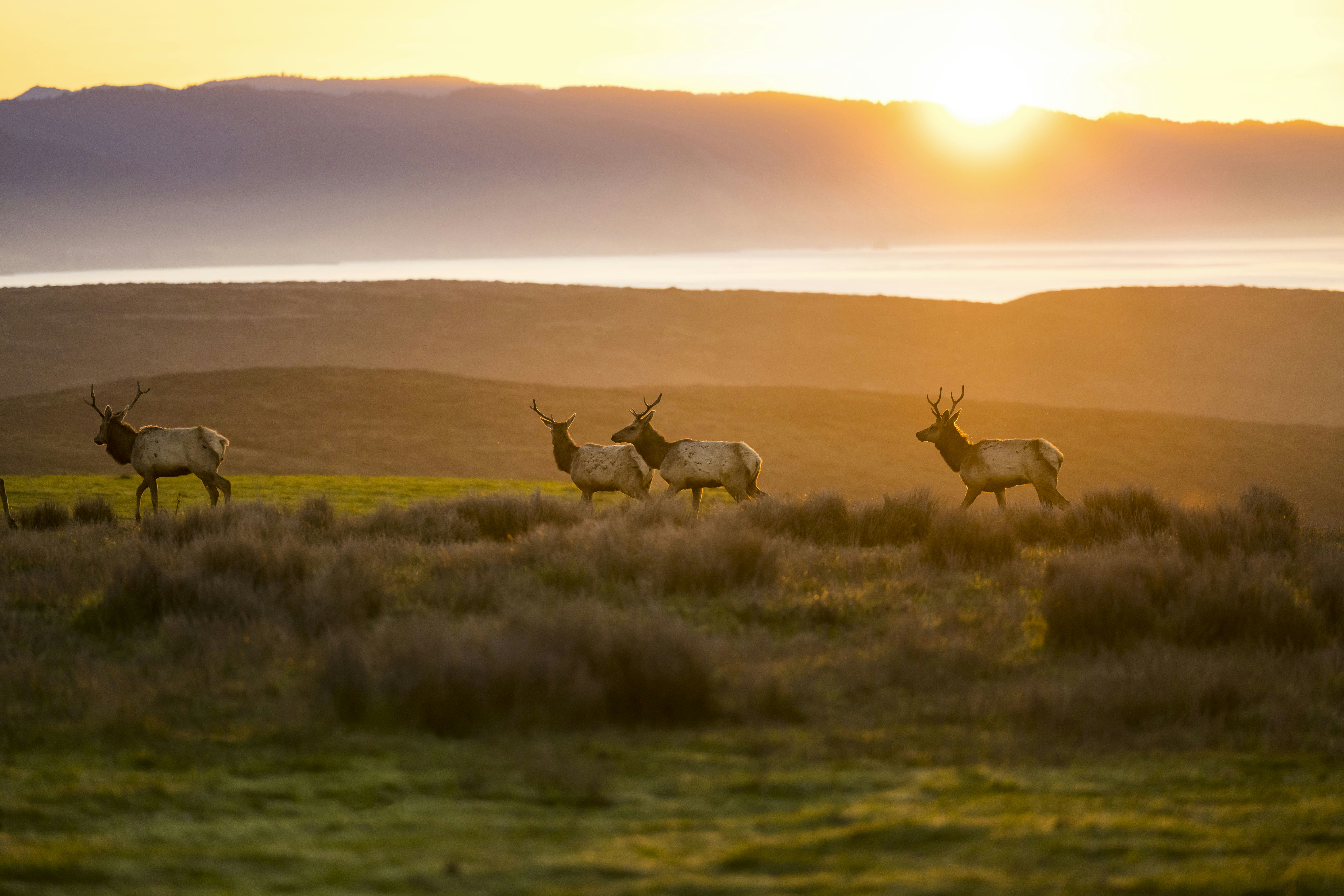 Photo by leo_visions_