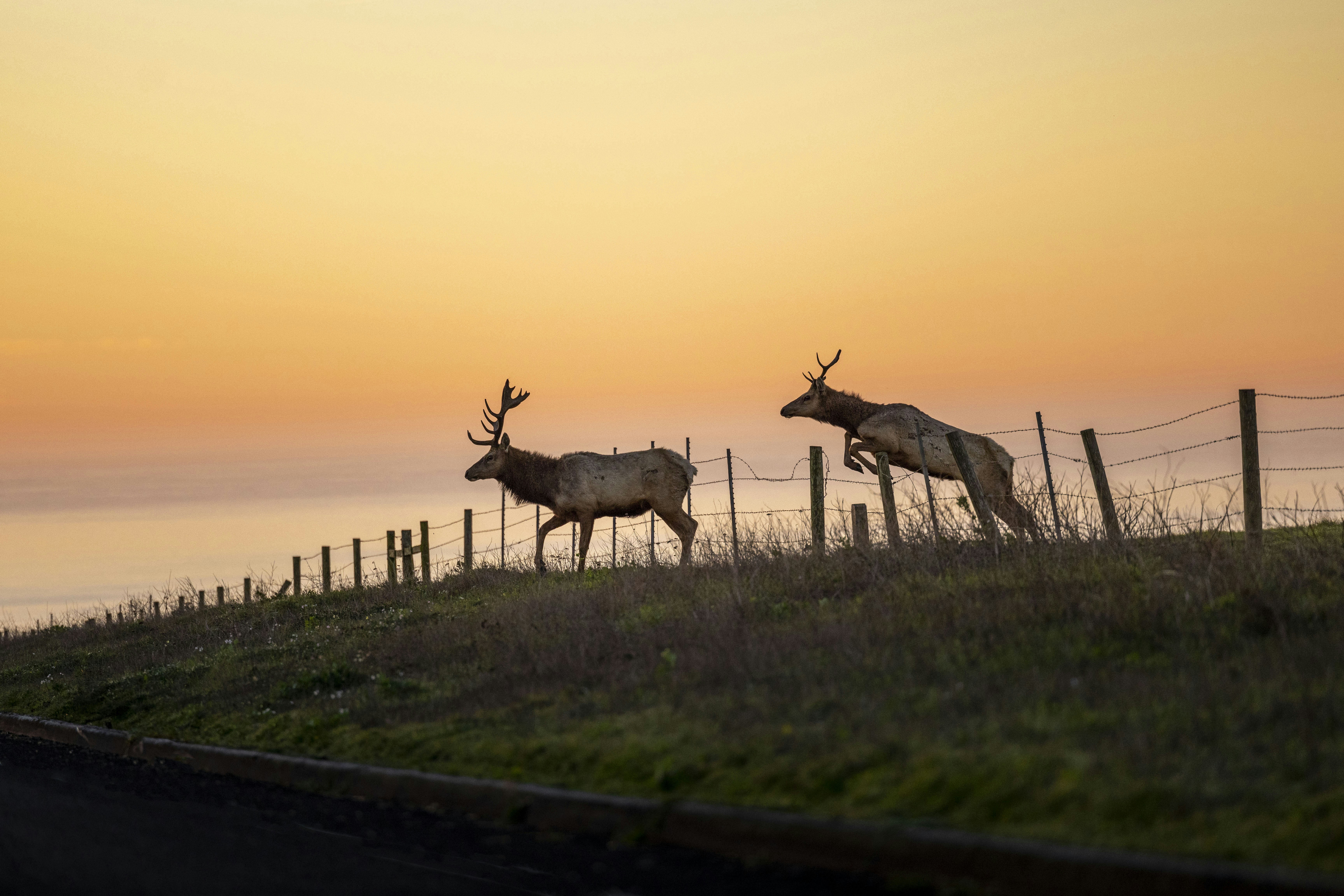 Photo by leo_visions_