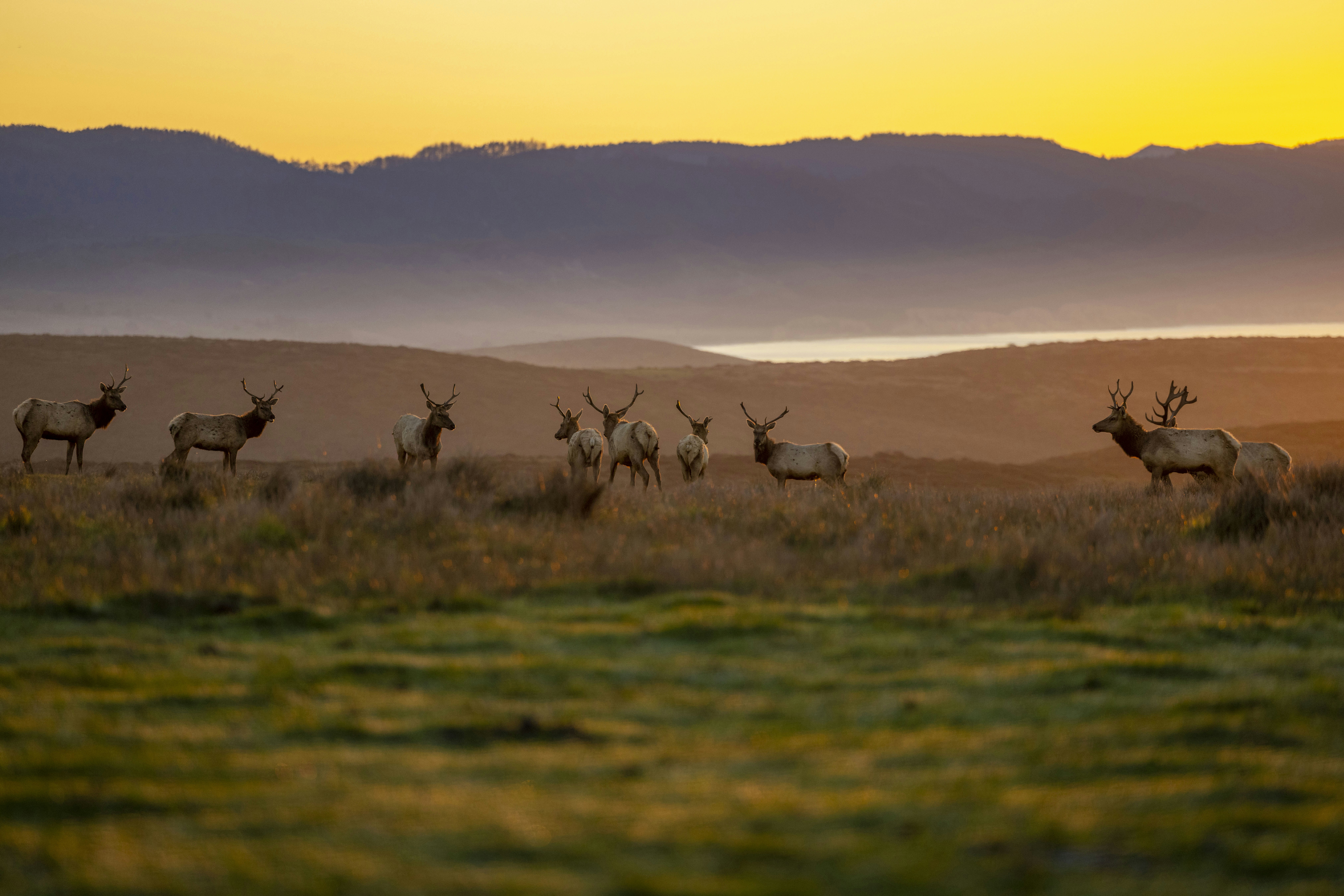 Photo by leo_visions_