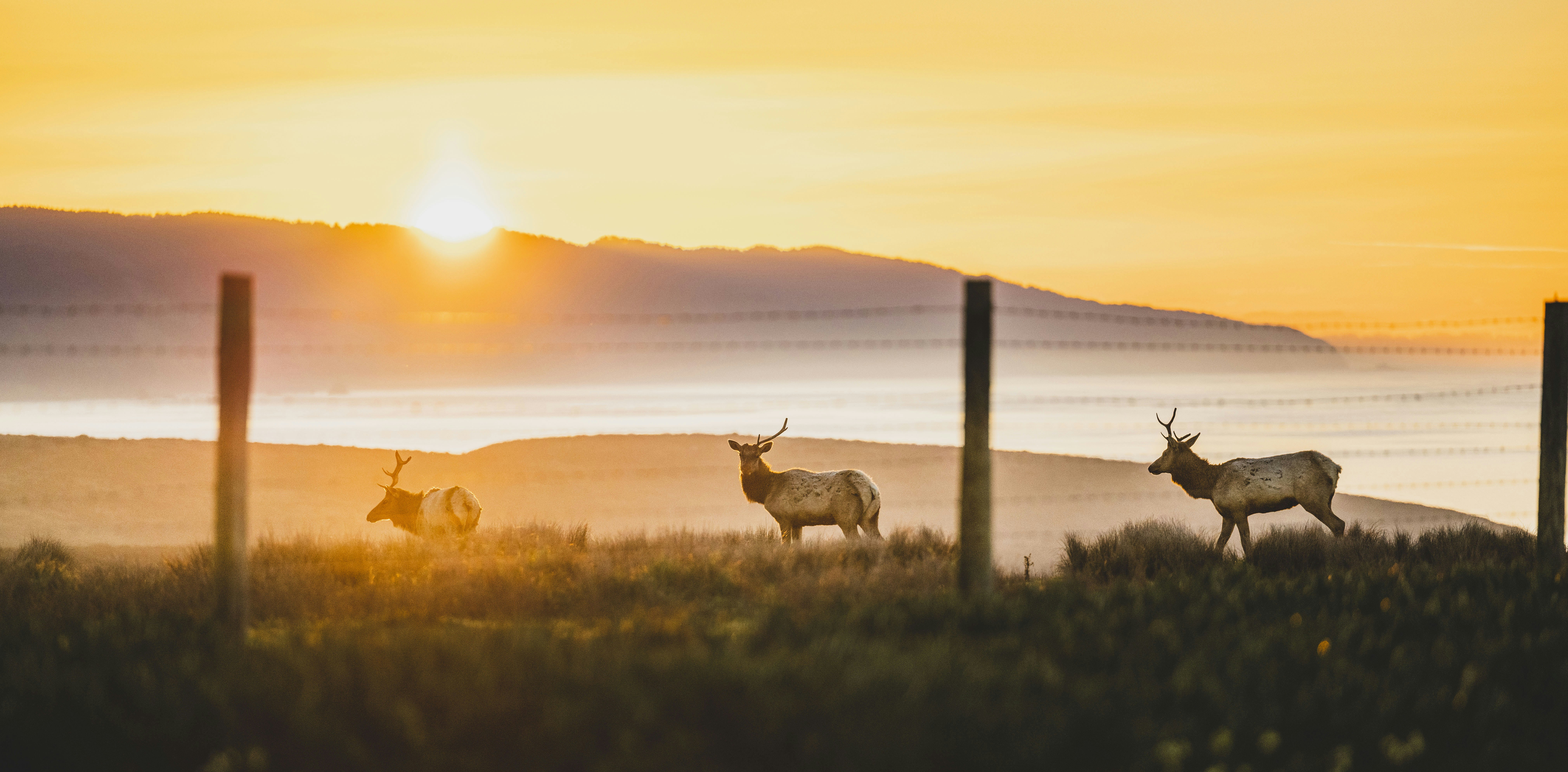 Photo by leo_visions_