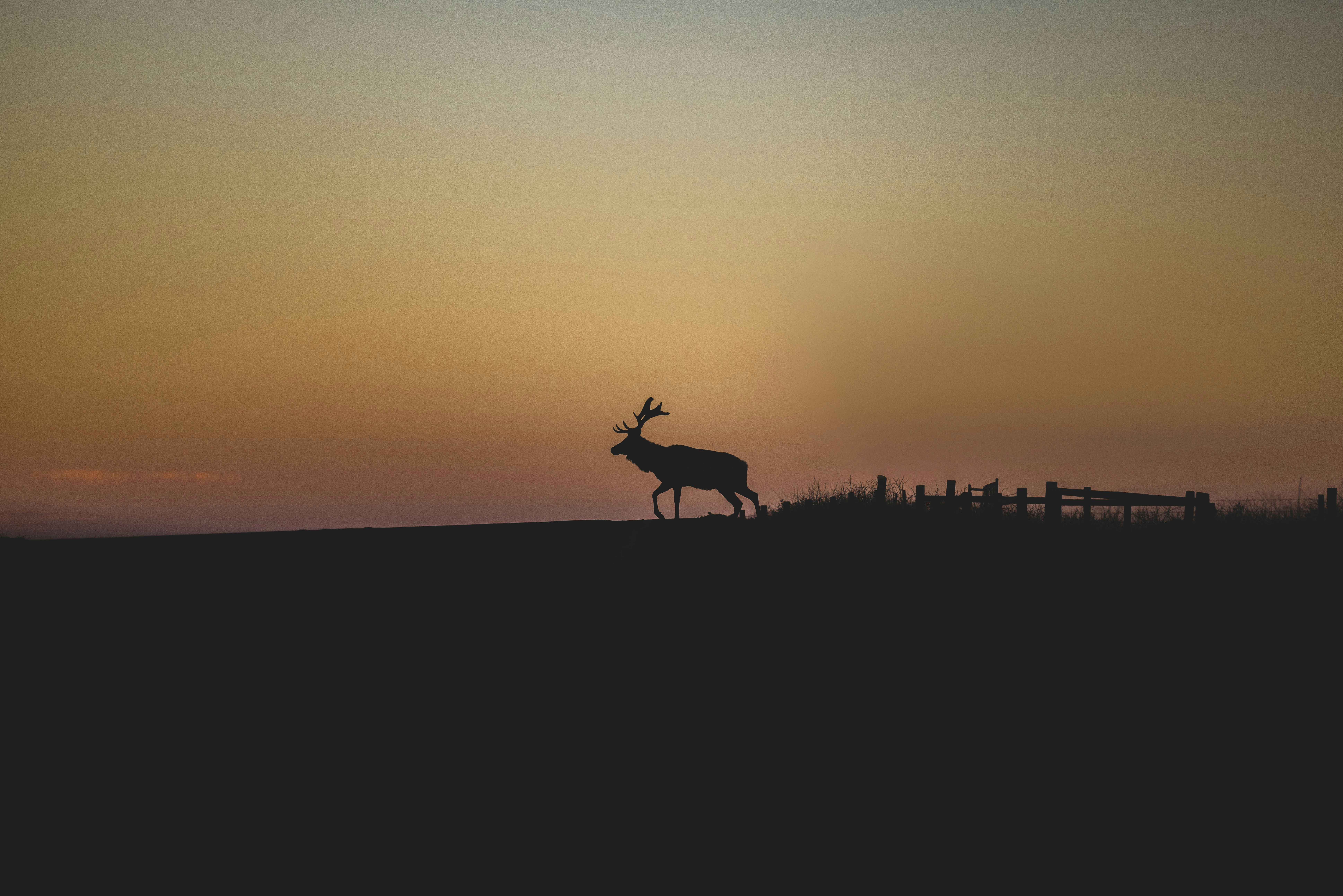 Photo by leo_visions_