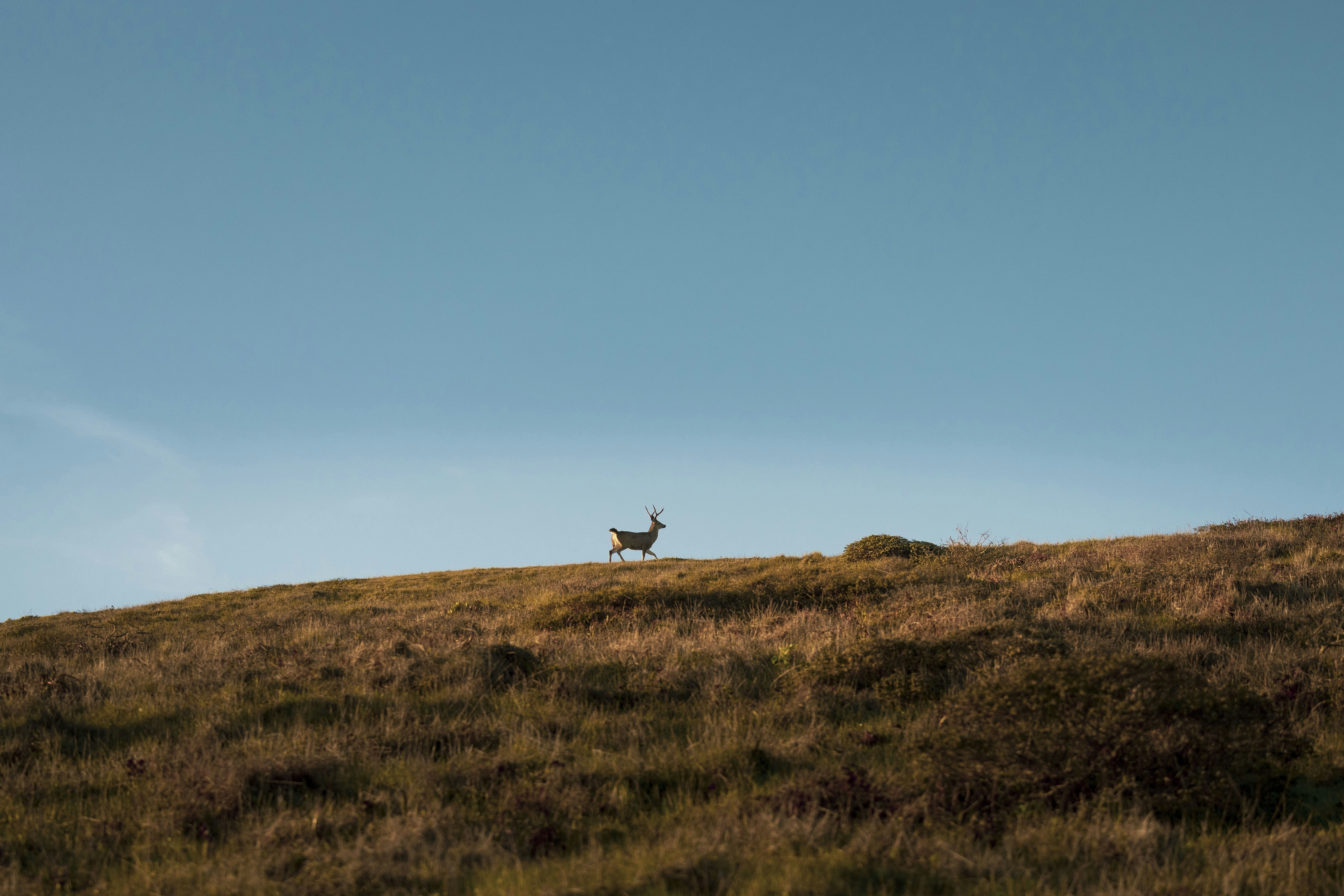 Photo by leo_visions_