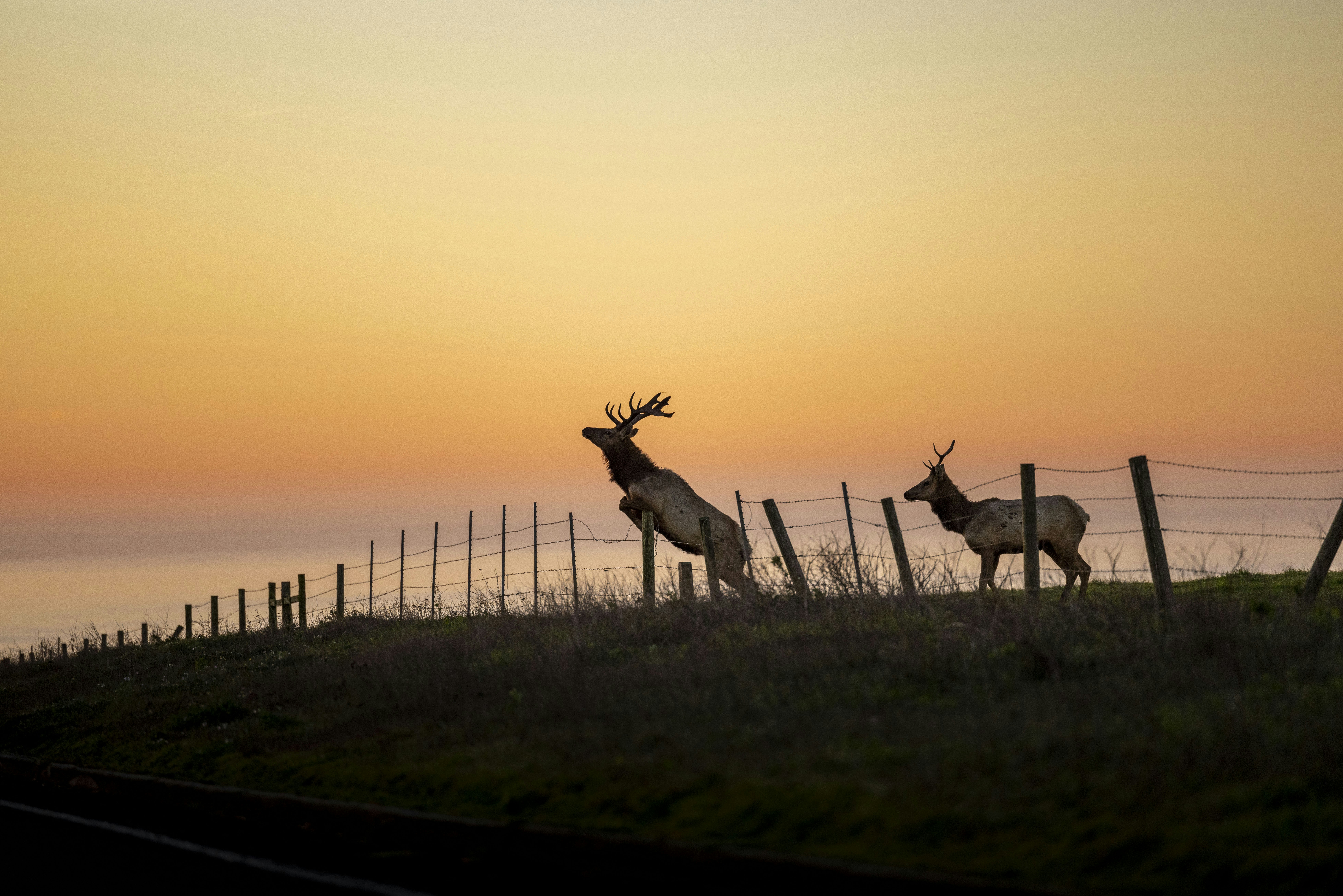 Photo by leo_visions_