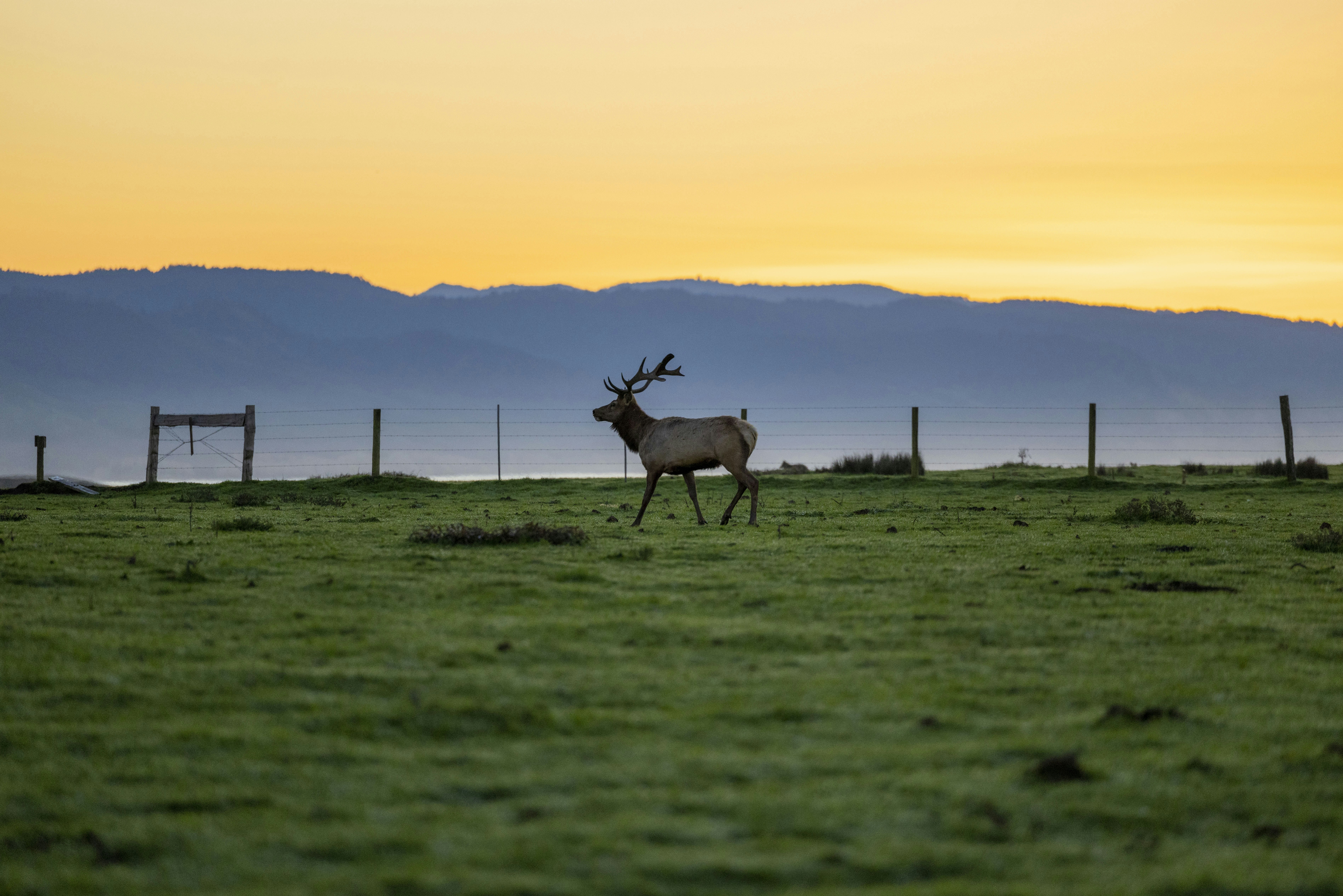 Photo by leo_visions_