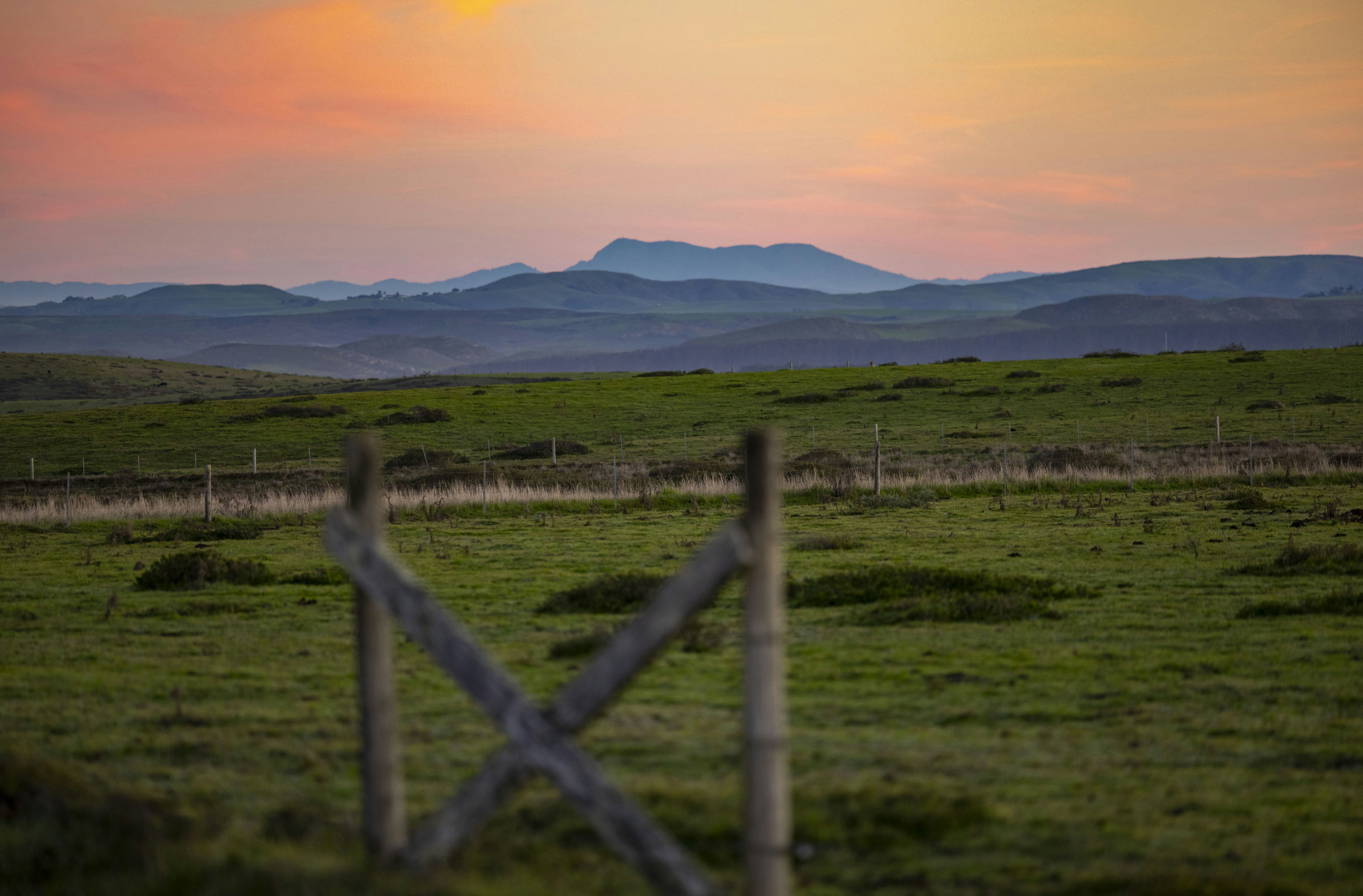 Photo by leo_visions_