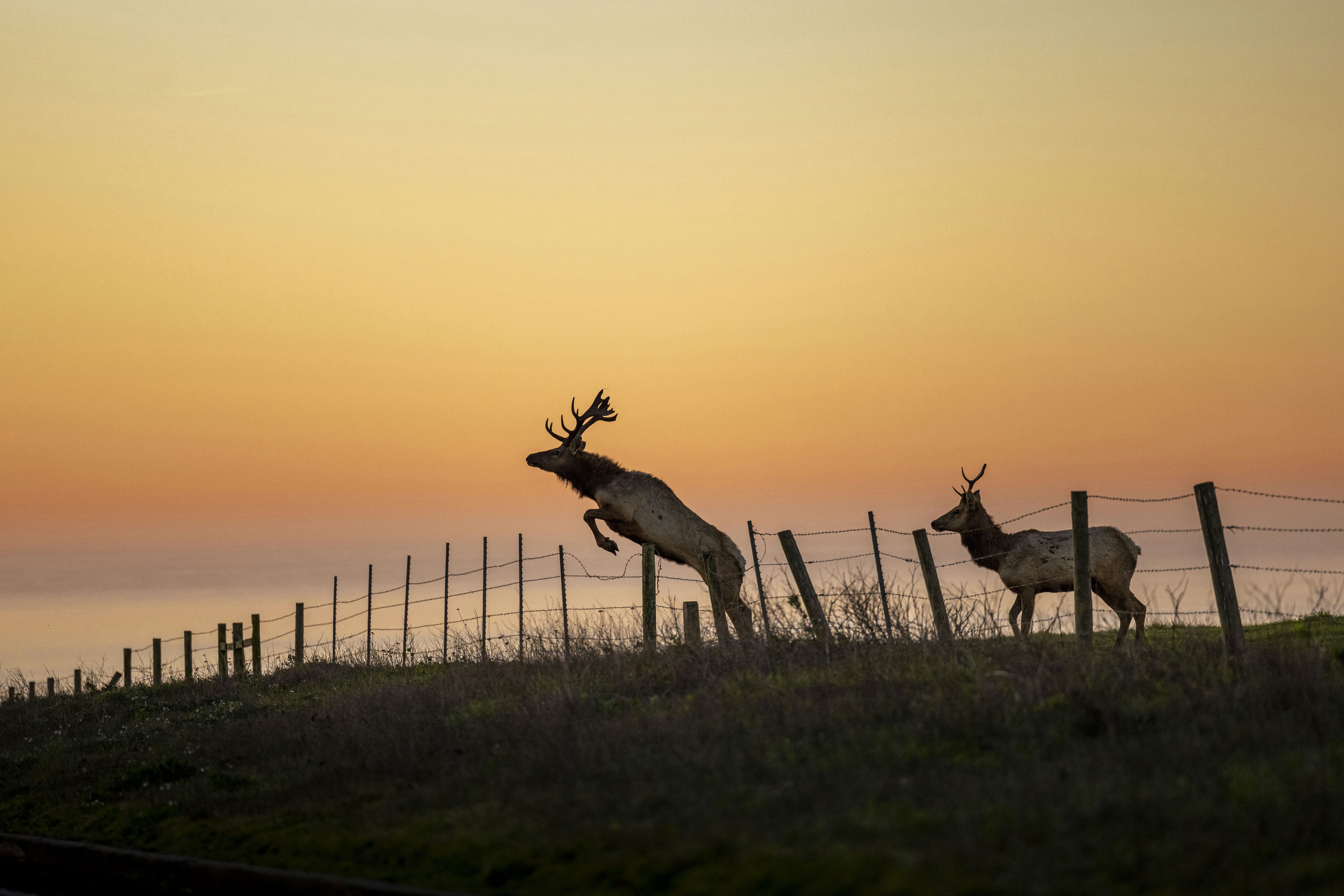 Photo by leo_visions_