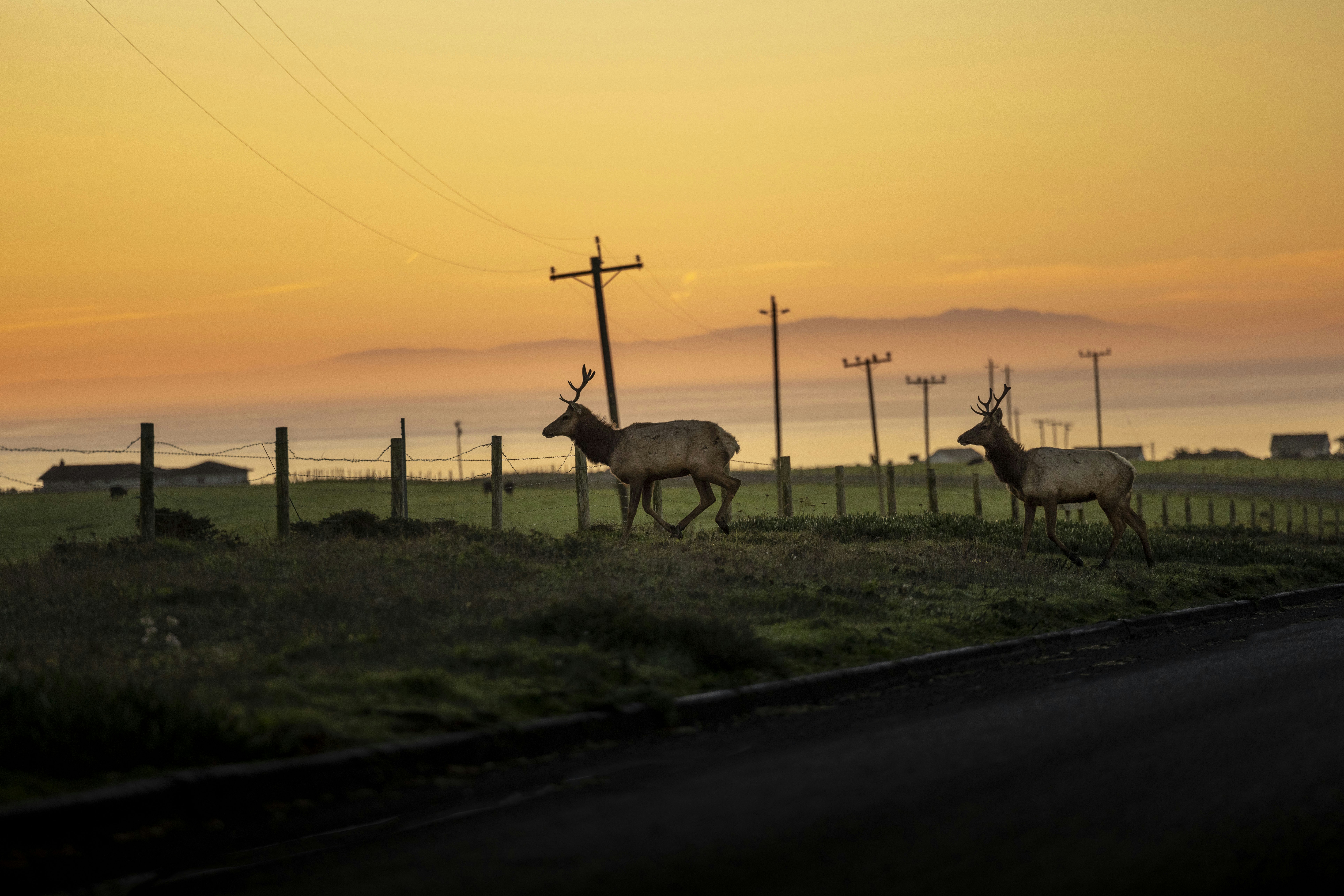 Photo by leo_visions_