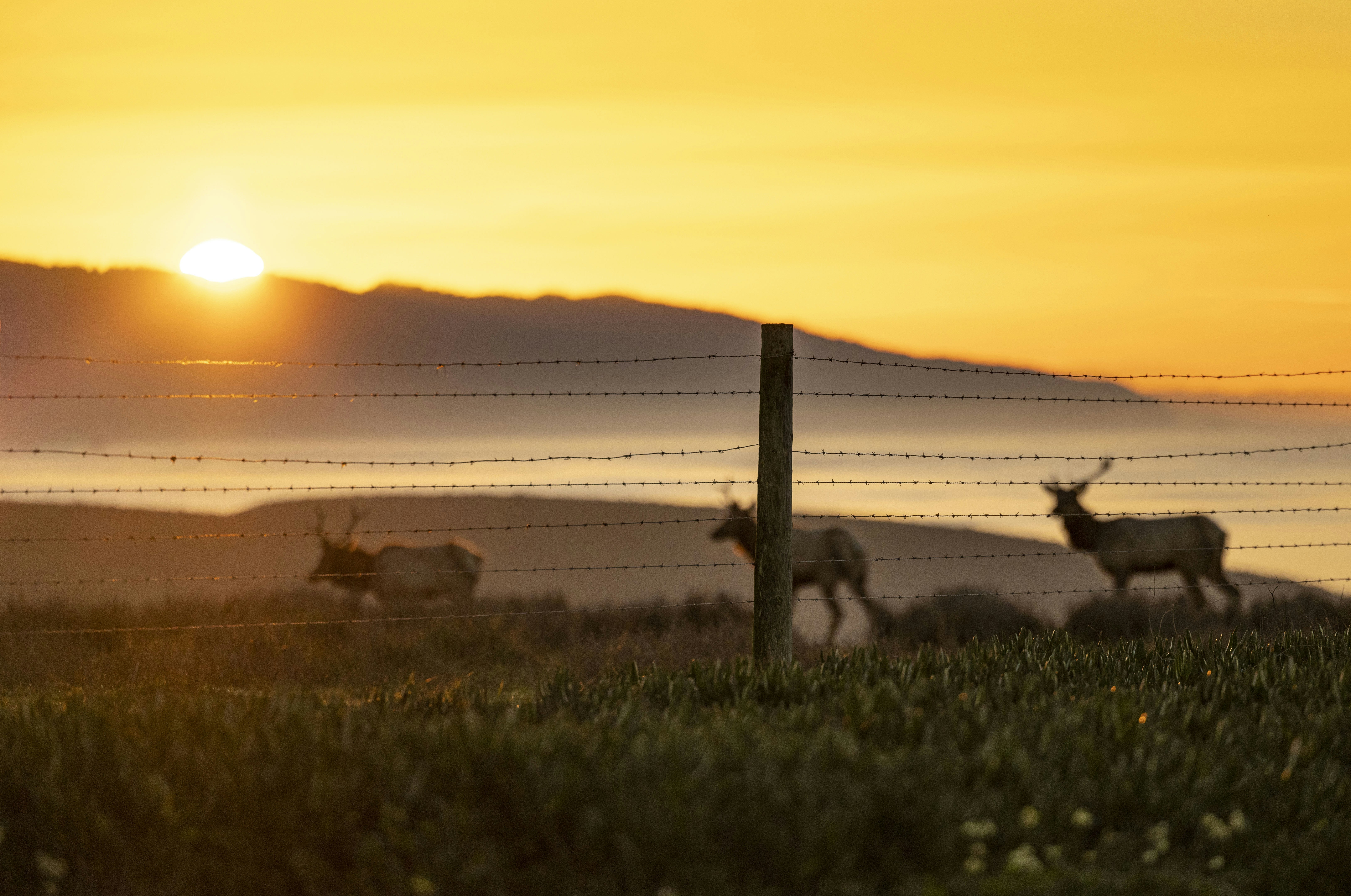 Photo by leo_visions_