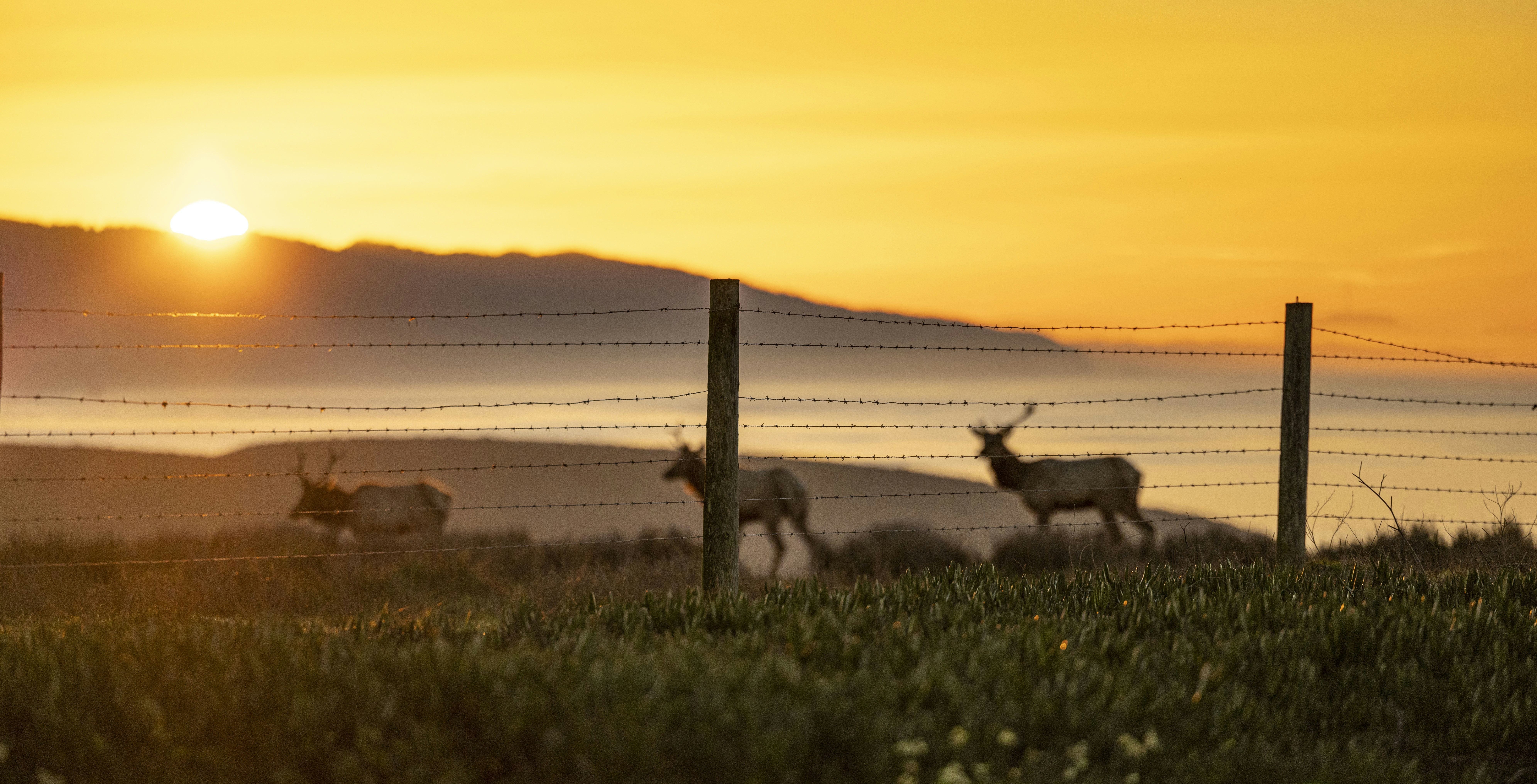 Photo by leo_visions_