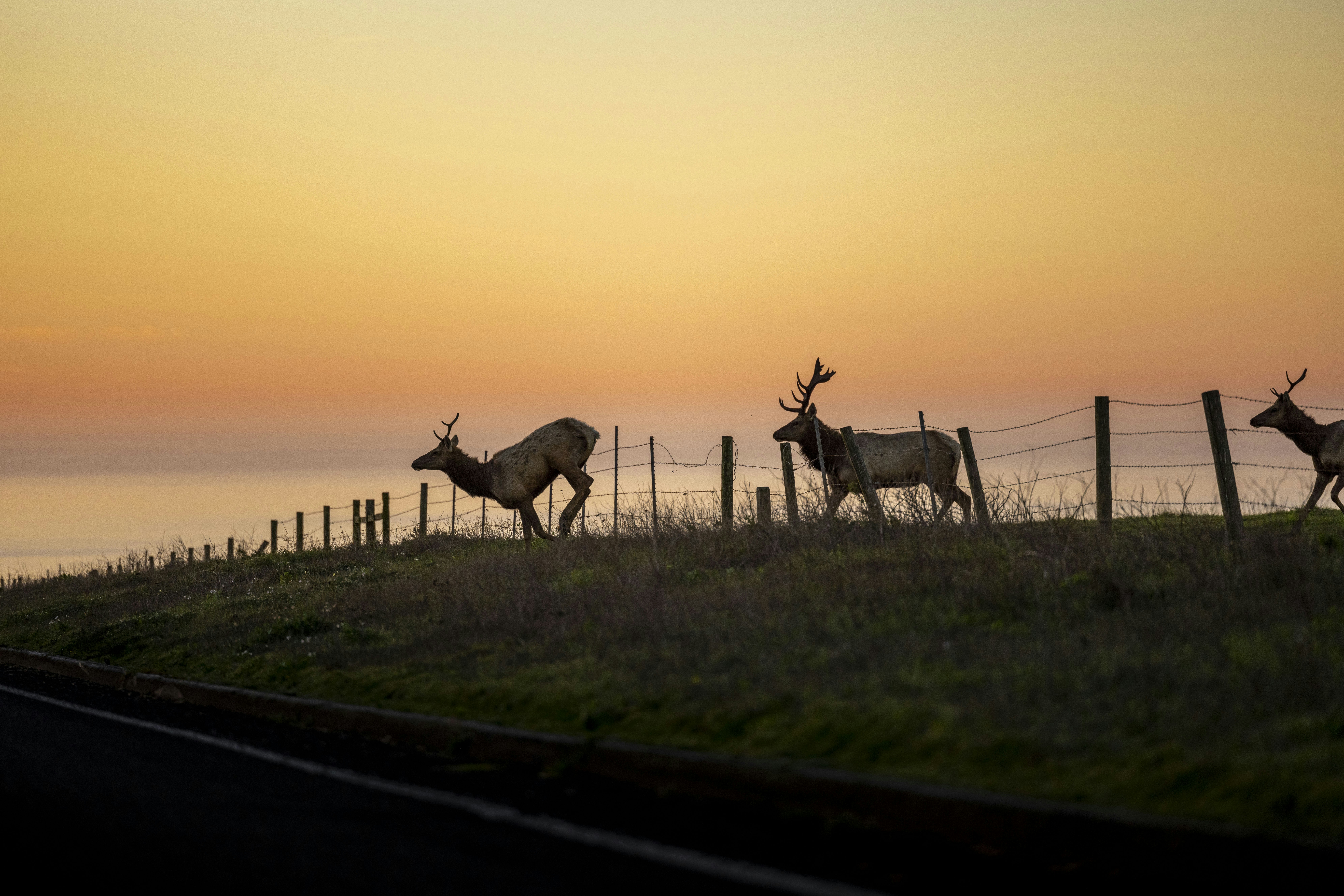 Photo by leo_visions_