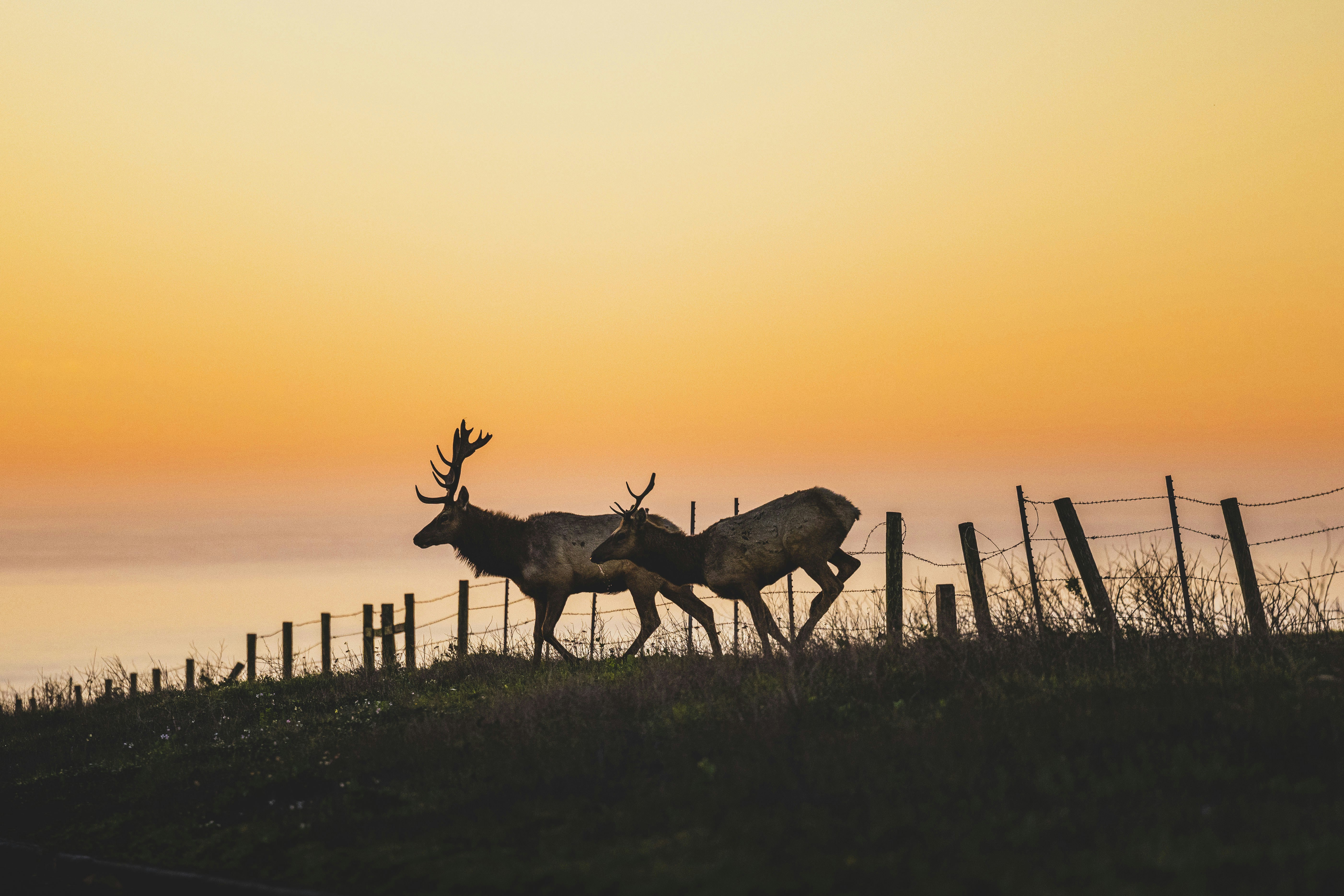 Photo by leo_visions_