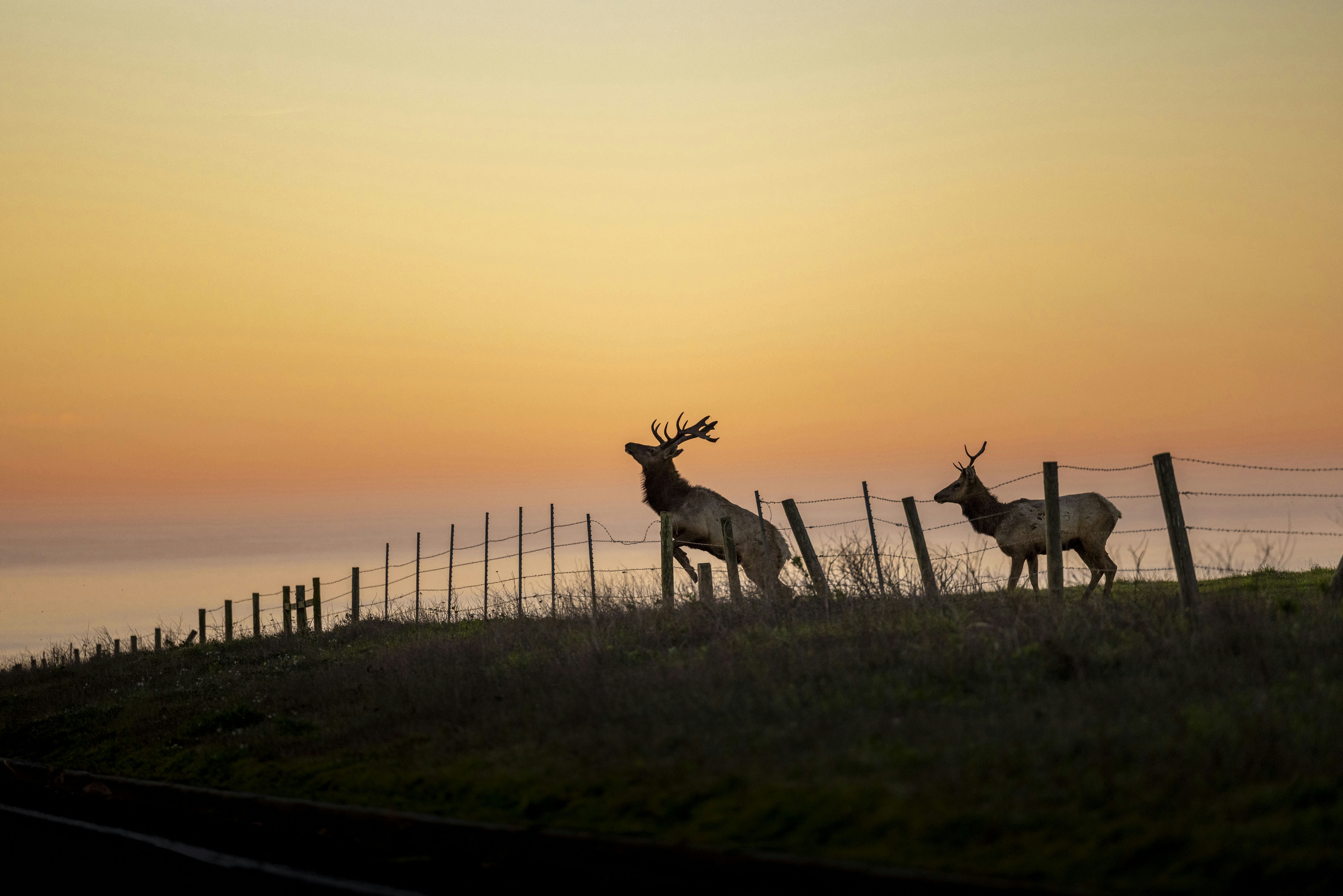 Photo by leo_visions_